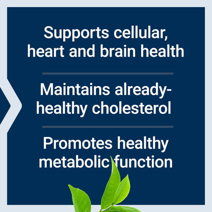 Life Extension Decaffeinated Mega Green Tea Extract – Polyphenol-Rich, Cell Health Life ExtensionUS supplements