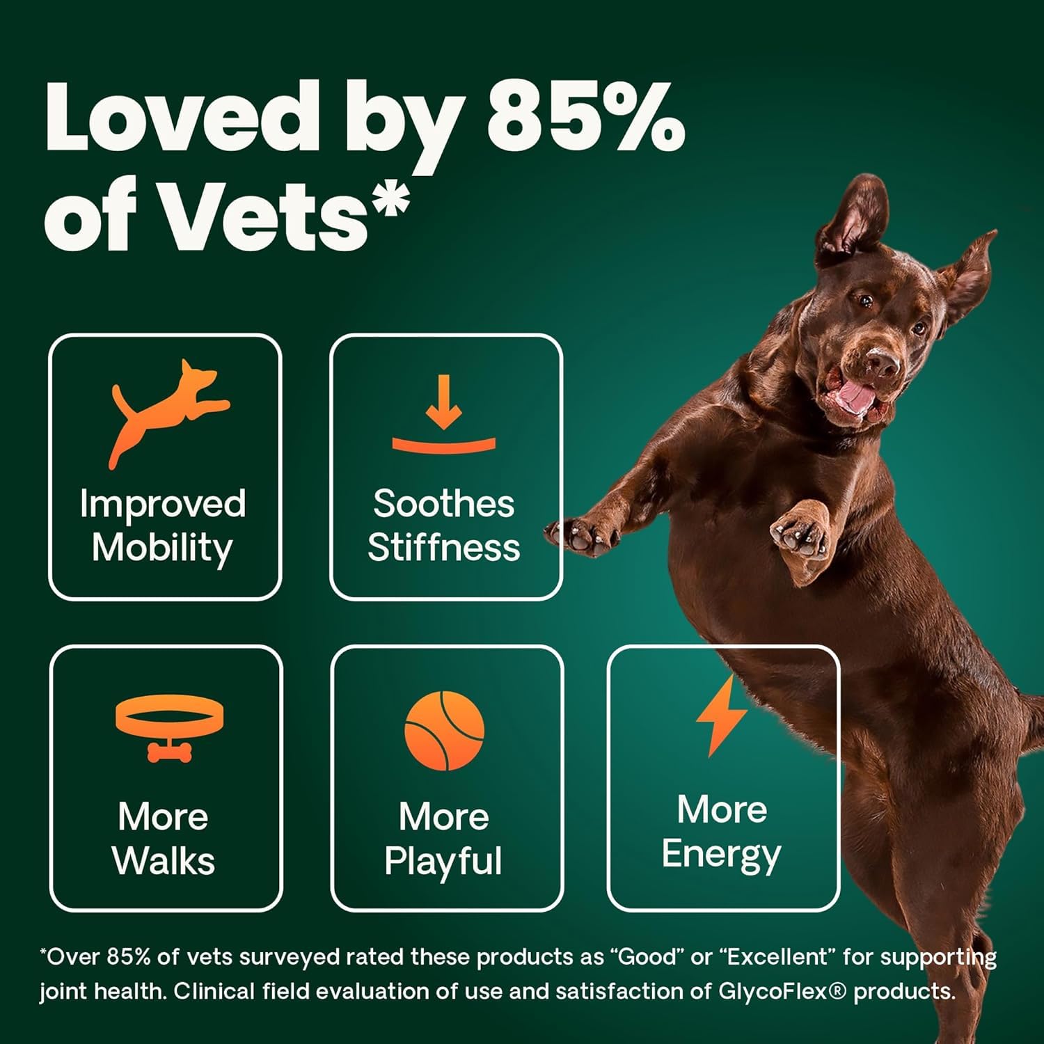 VetriScience Ultimate Strength Hip & Joint Supplement for Dogs, GlycoFlex Plus – MSM, Chondroitin & Green-Lipped Mussel Chews for Mobility, Flexibility, Comfort & Support, Peanut Butter Flavor 120 Cnt VETRISCIENCEAu supplements