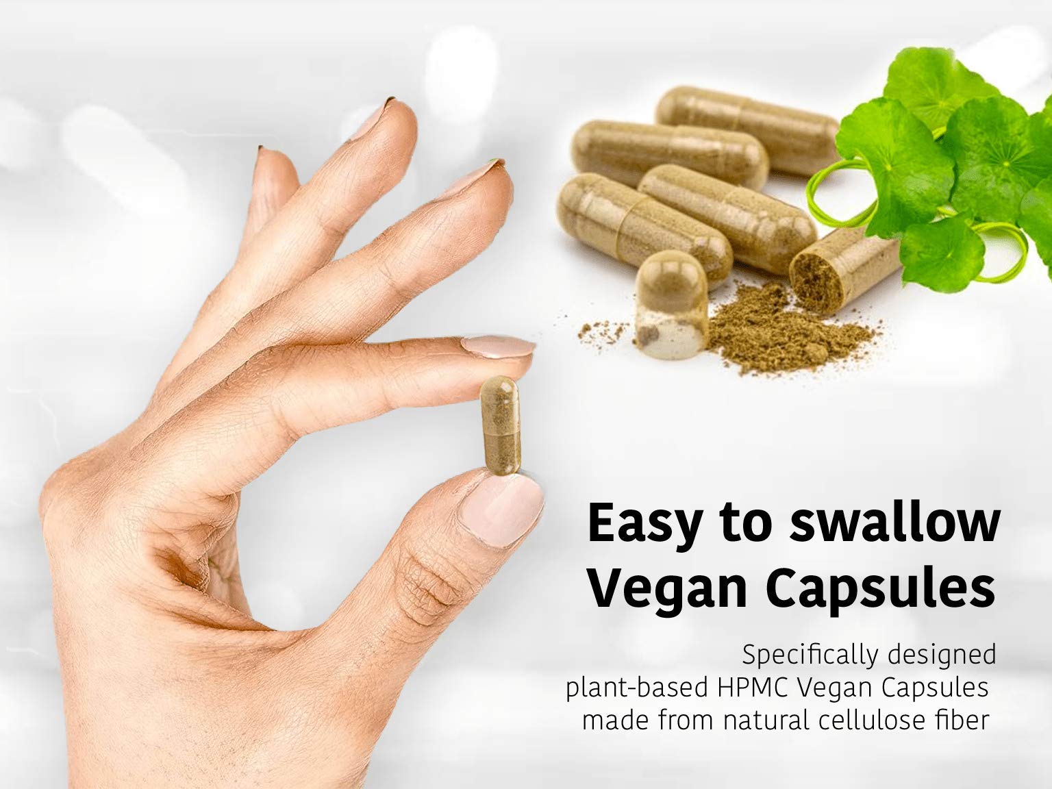 DR WAKDE's Organic Lodhra Capsules (Symplocos racemosa) I 100% Natural Herbal Supplement I 60 Veggie Capsules DR WAKDE'sAu supplements