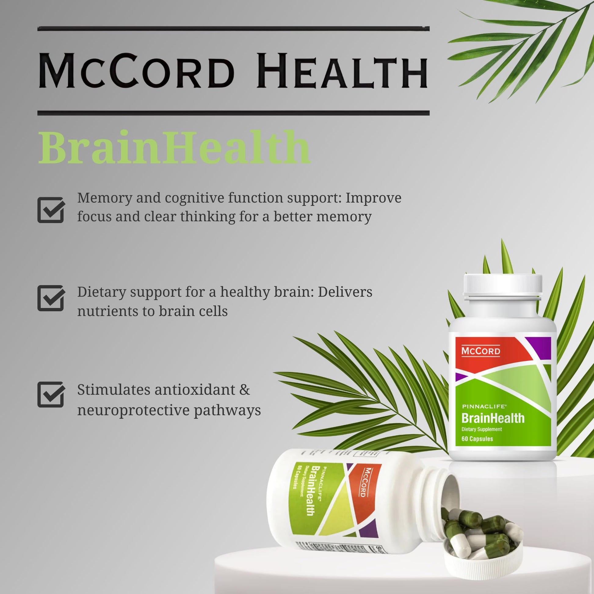 BrainHealth Brain Supplement - Amplify Memory, Increase Focus, Enhance Clarity & Gain Productivity For Men & Women, Olivamine, Vitamin D, Vitamin B6 & B12, Rhodiola Rosea, Magnesium, Taurine PinnaclifeAu supplements