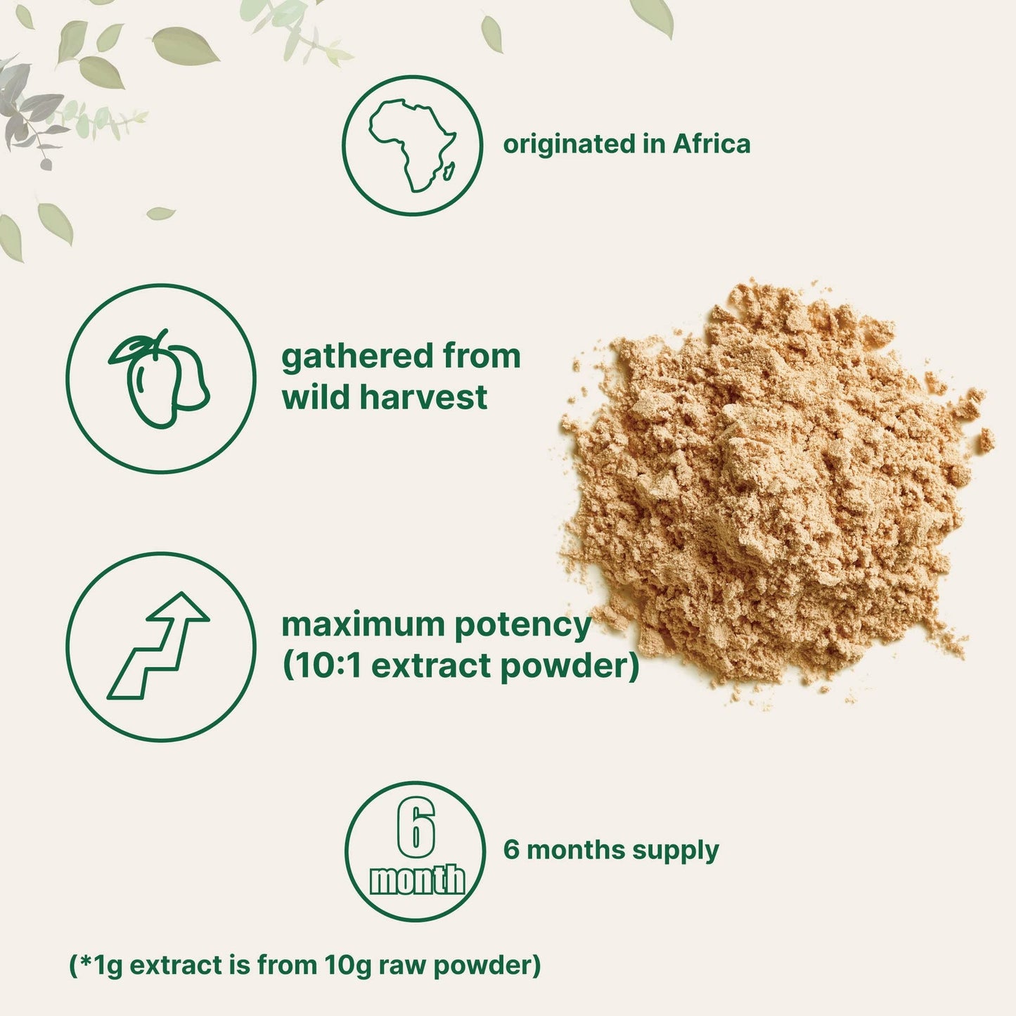 Sustainably Africa Grown, Pure African Mango Powder (Irvingia Gabonensis Powder Micro IngredientsUS supplements