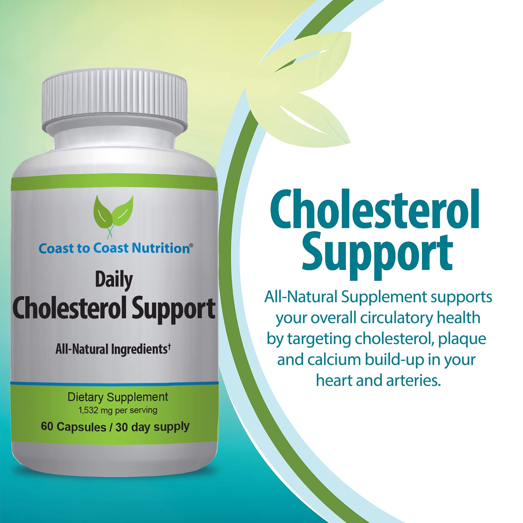 Coast to Coast Nutrition Cholesterol Support Supplement - Support Cardiovascular & Artery Performance, Target Bad LDL Levels & Plaque Calcium Buld-Up - Promote Circulation & Blood Flow - 60 Capsules Coast to Coast NutritionAu supplements