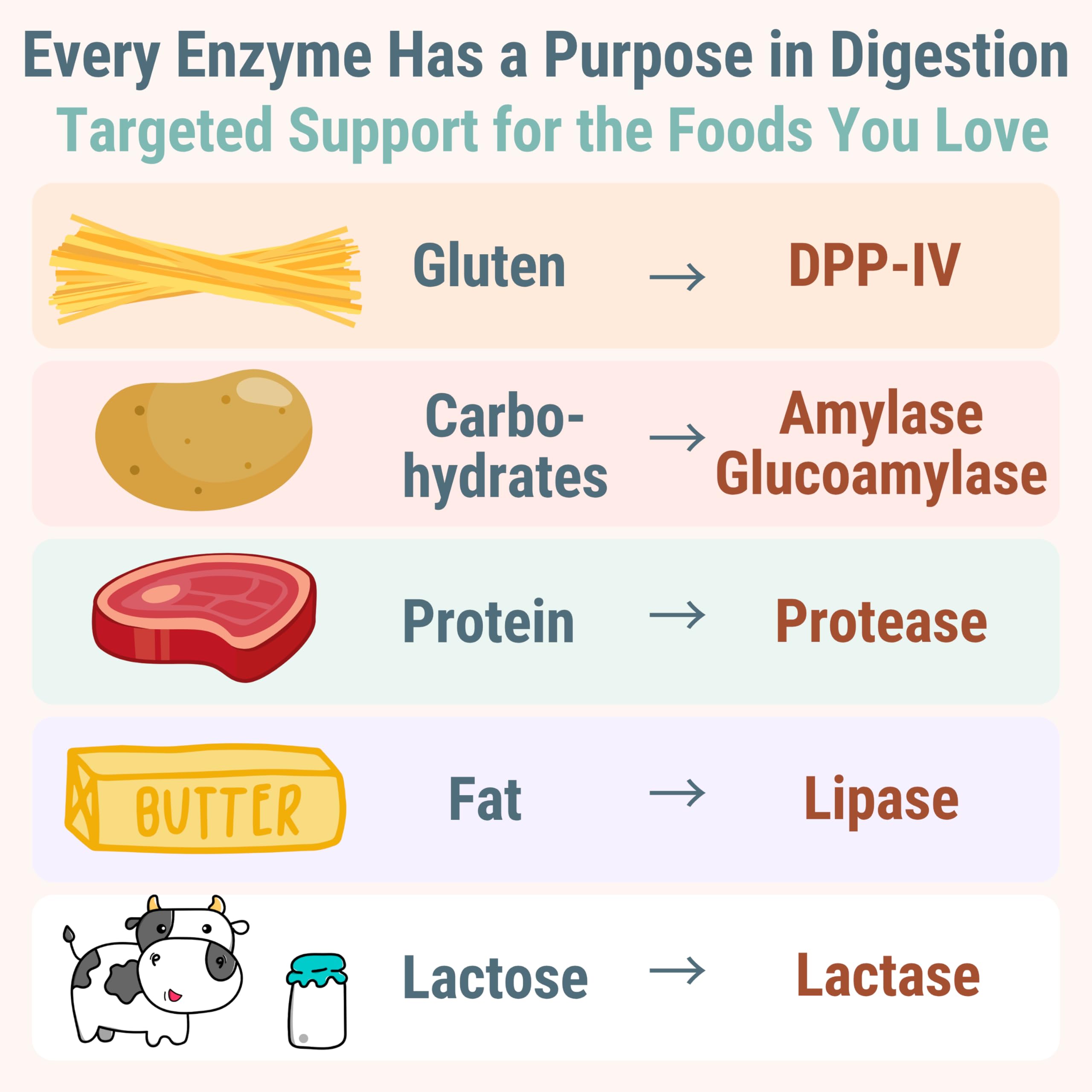 Gluten & Lactase Digestive Enzyme Gummies – Lactase Pancreatic Enzymes with DPP‑IV Lipase Gluco‑Amylase Lactase, Drops Chewables Capsules Pills Powder Supplement Alt, Pancreatic Support, for Kids SHIZAMAu supplements
