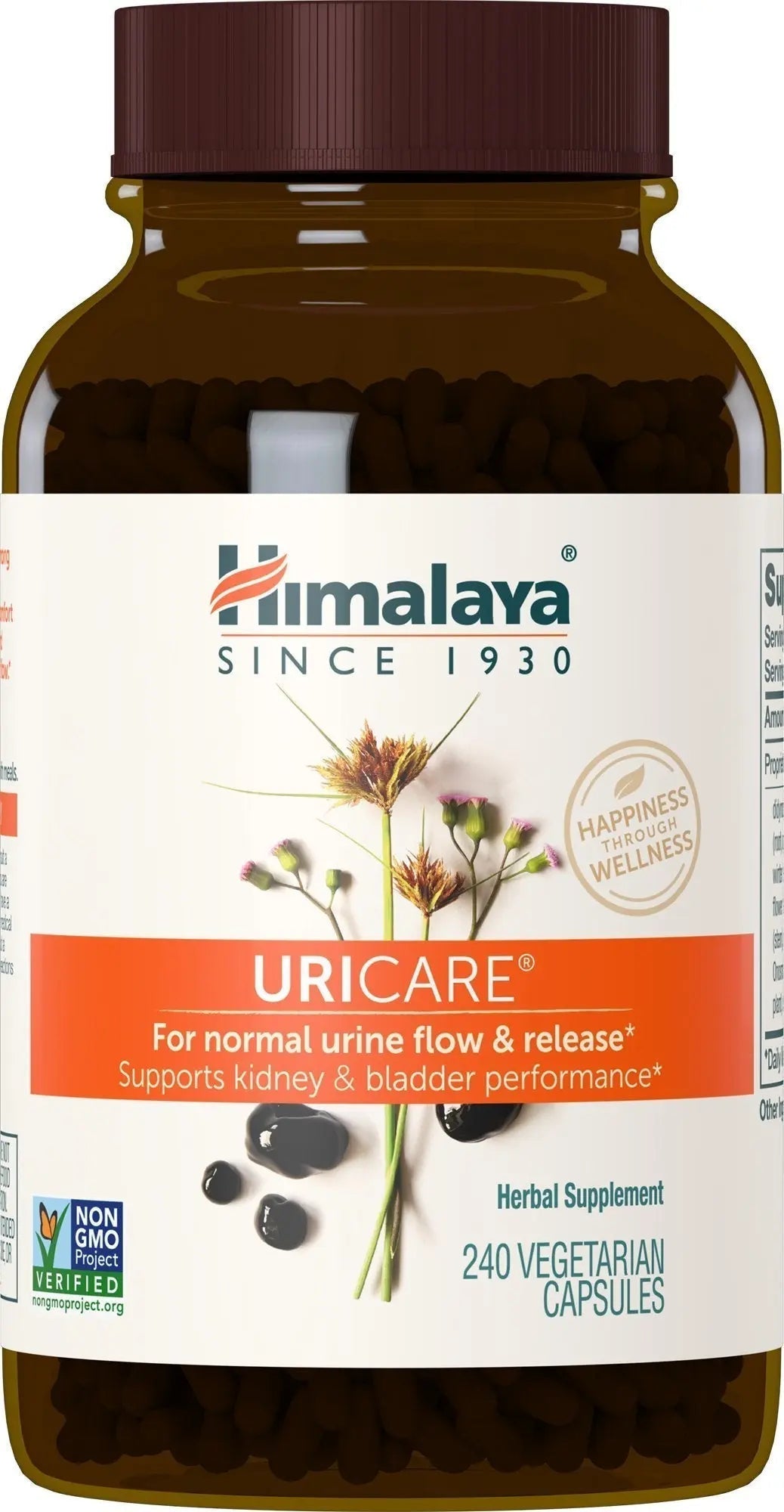 Himalaya UriCare Herbal Supplement, Kidney & Bladder Support, Urinary Tract & Urine Flow Support, Caffeine Free, Non-GMO, Gluten Free, Vegetarian, 240 Capsules, 60 Day Supply HimalayaAu supplements
