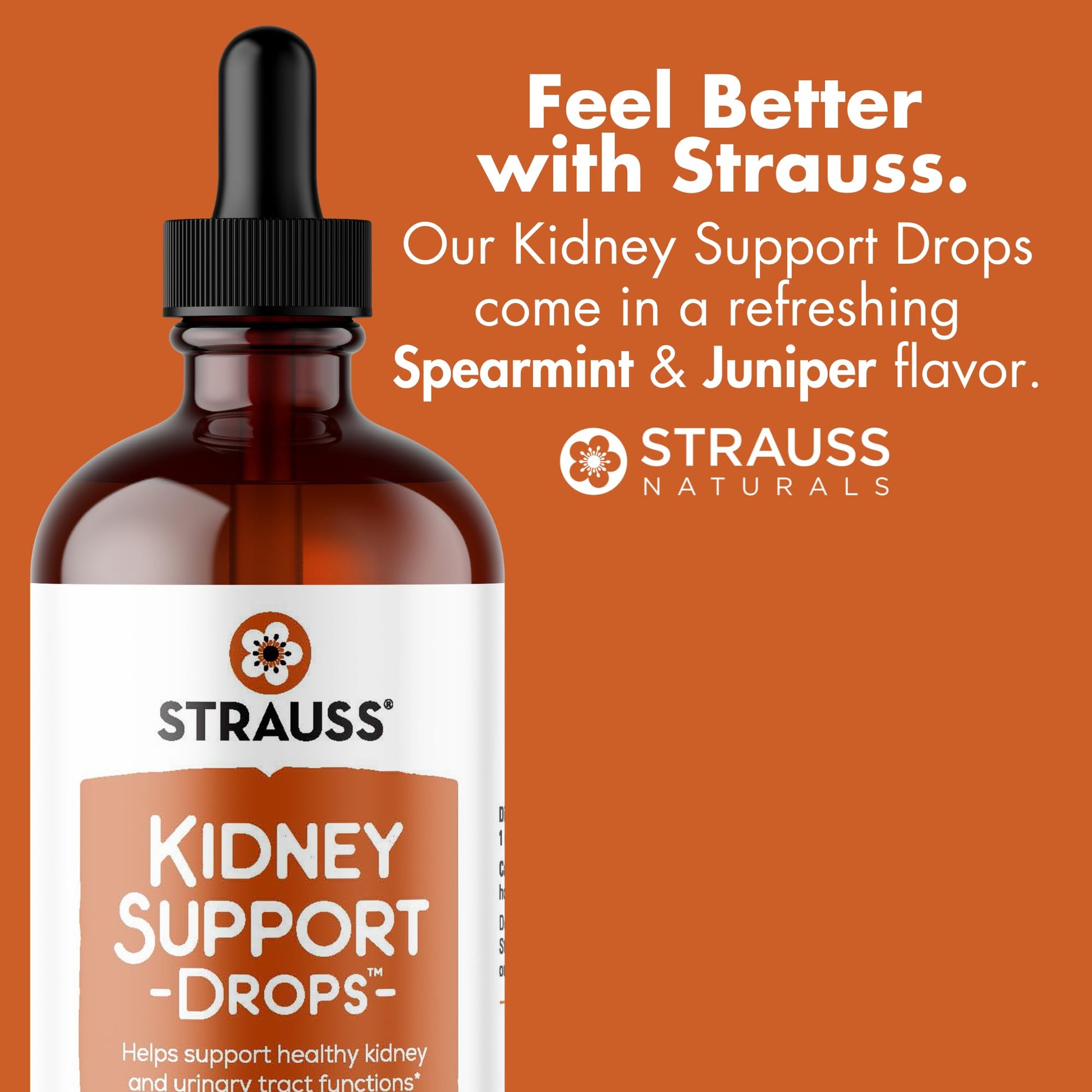 Strauss Naturals Kidney Support Drops – Herbal Kidney Support Supplement for Men and Women – Helps with Kidney Health and Urinary Tract Function – Vegan & Non-GMO – Spearmint Flavored – 100 ml Bottle Strauss HeartdropsAu supplements
