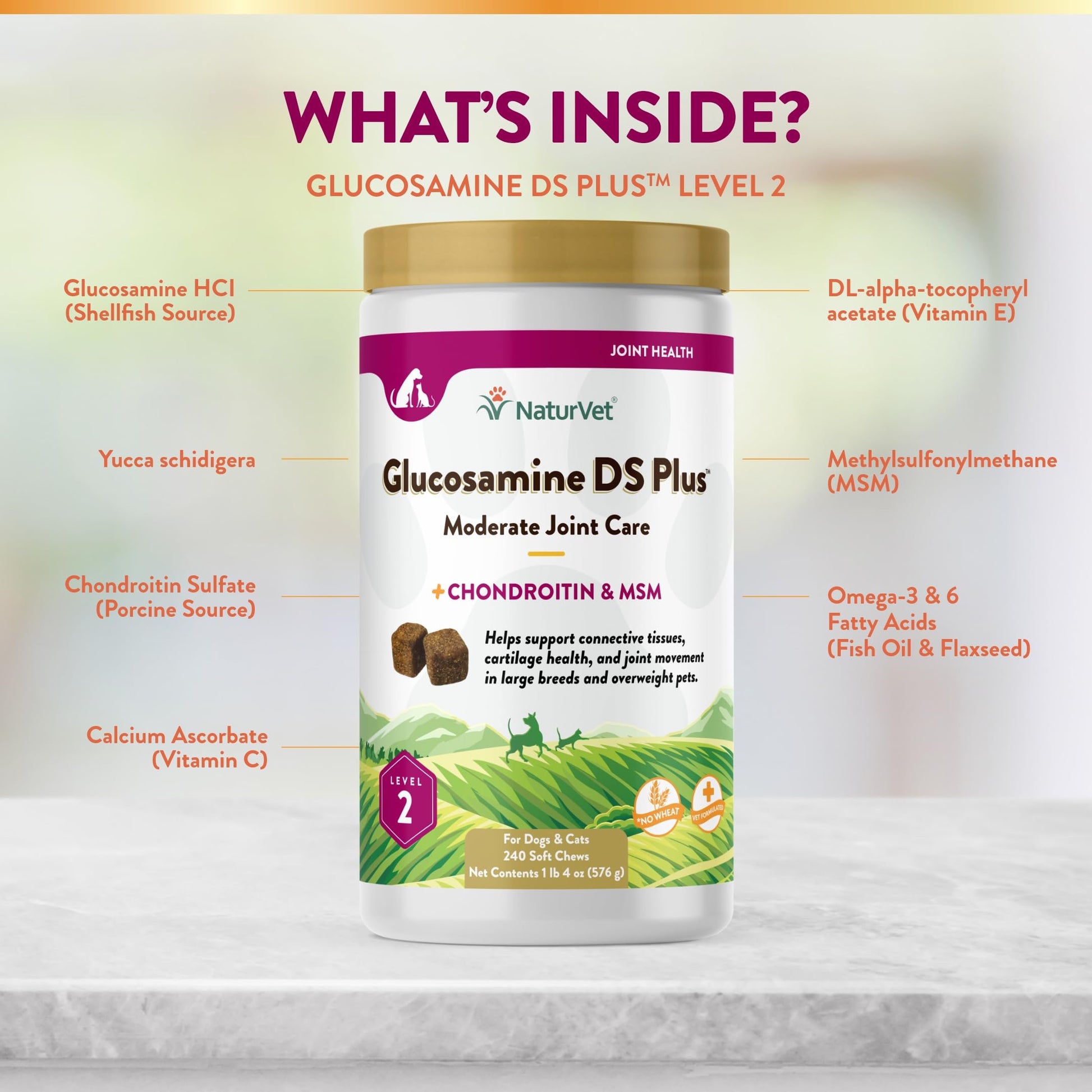 NaturVet – Glucosamine DS Plus - Level 2 Moderate Care – Supports Healthy Hip & Joint Function – Enhanced with Glucosamine, MSM & Chondroitin – for Dogs & Cats – 240 Soft Chews NaturVetAu supplements