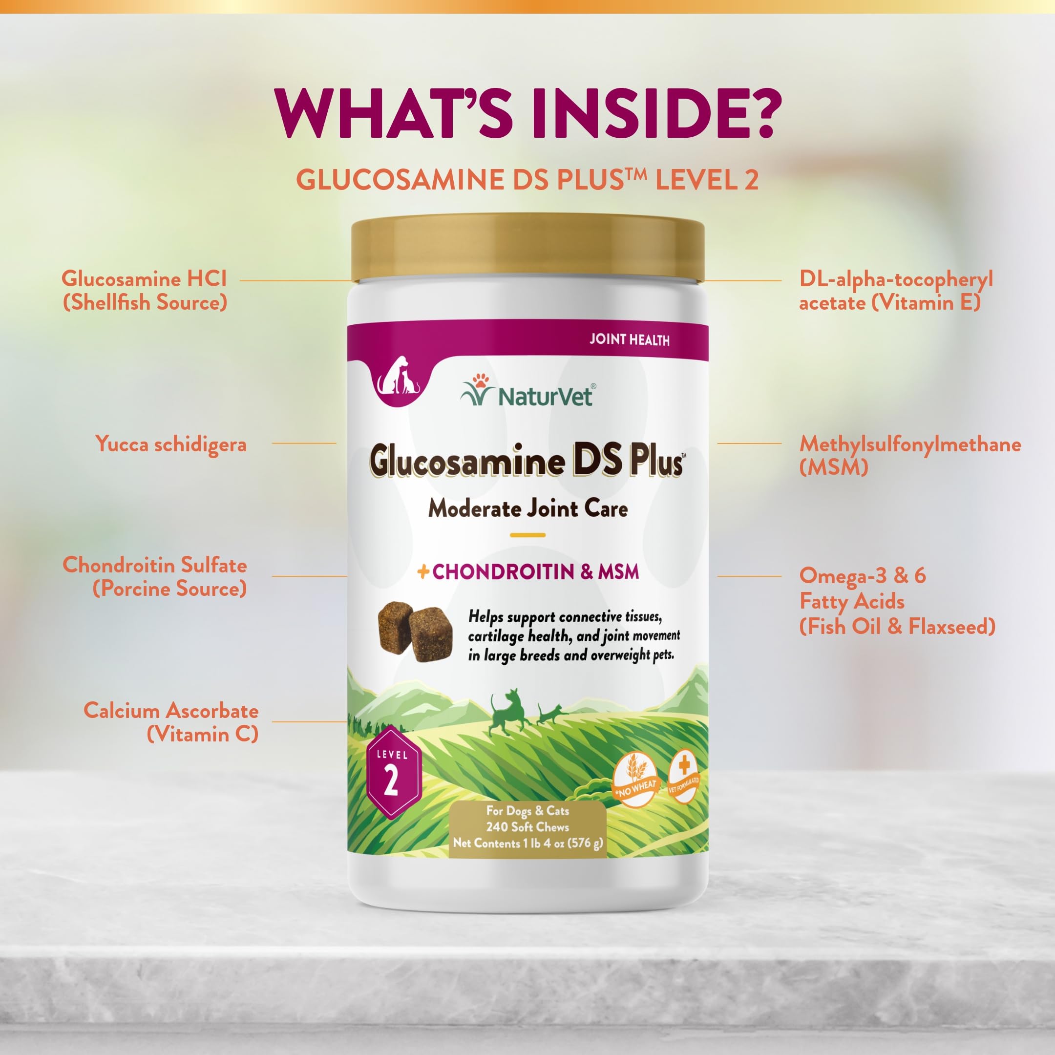NaturVet – Glucosamine DS Plus - Level 2 Moderate Care – Supports Healthy Hip & Joint Function – Enhanced with Glucosamine, MSM & Chondroitin – for Dogs & Cats – 240 Soft Chews NaturVetAu supplements