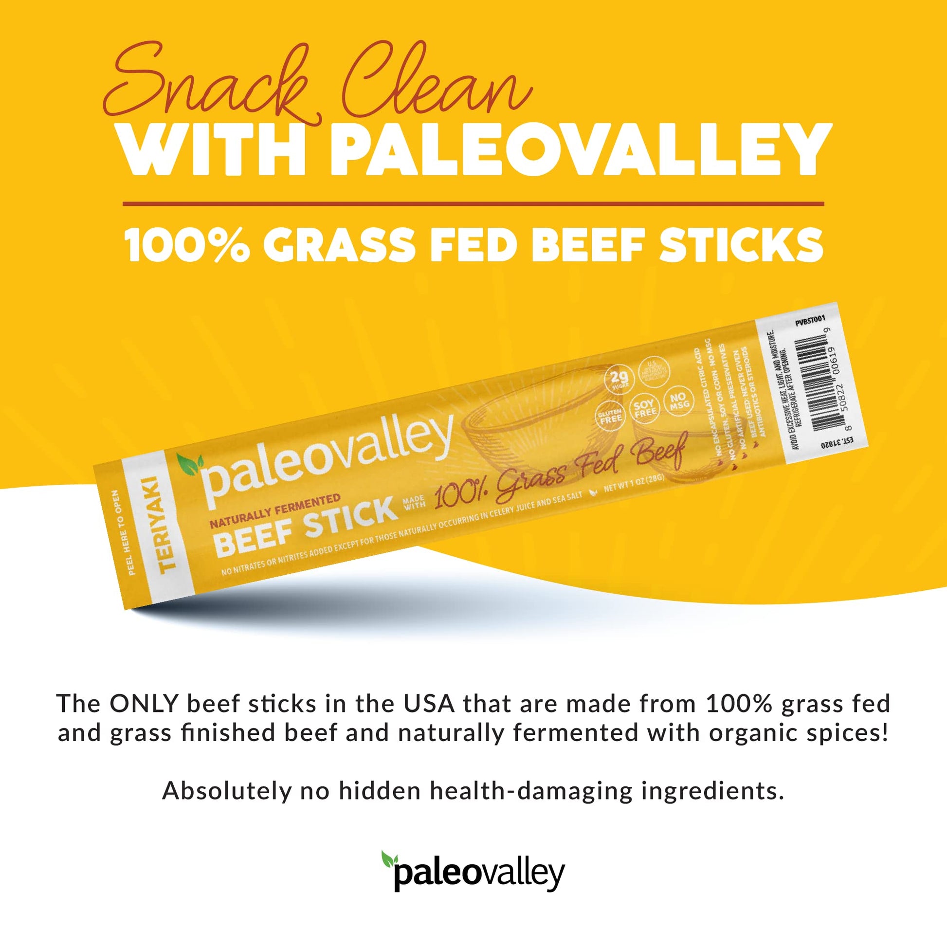 Paleovalley 100% Grass Fed Teriyaki Beef Sticks - Delicious Gluten Free Beef Snack - High Protein Keto Friendly PaleovalleyUS supplements