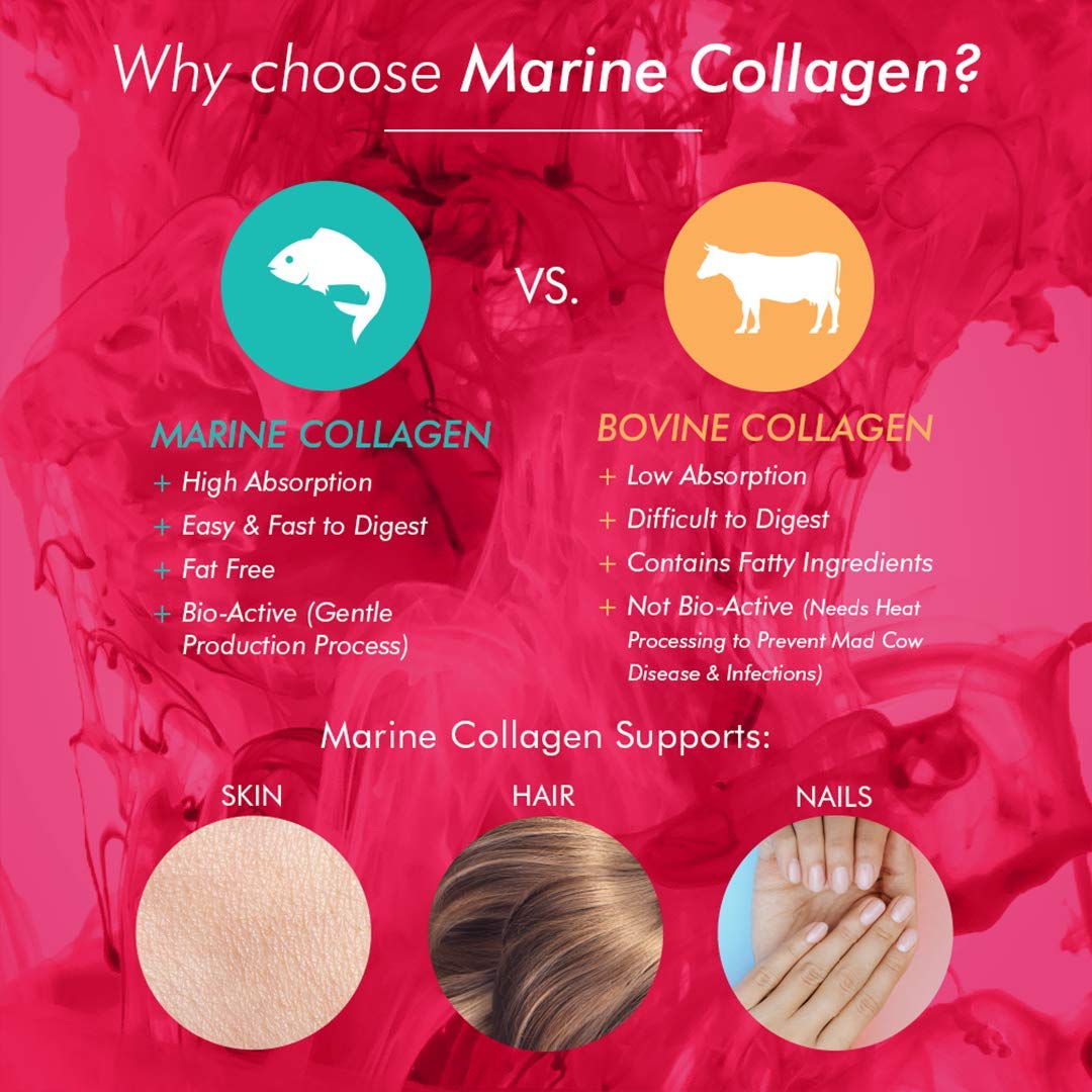 Bioglan Collagen Gummies | 1000mg | Hydrolysed Marine Collagen | Biotin BioglanAu supplements