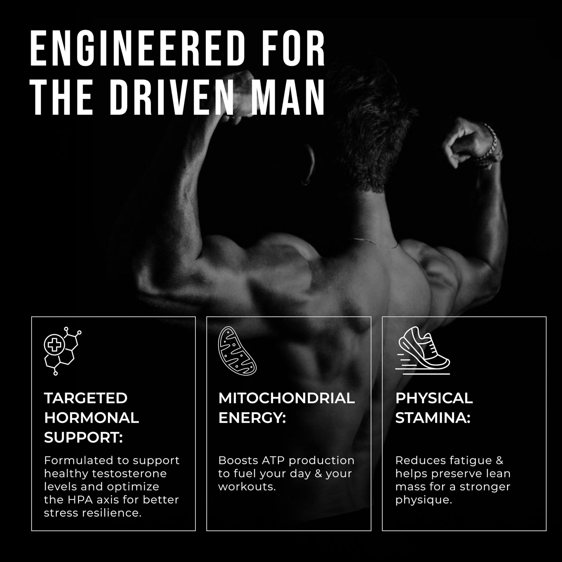 ERODUS Formula for Men - Advanced Testosterone Support Powder - Energy & Gym Supplement for Men - Supports Healthy Testosterone Levels & Physical Performance - with Ashwagandha (30 Day Supply) ERODUSAu supplements