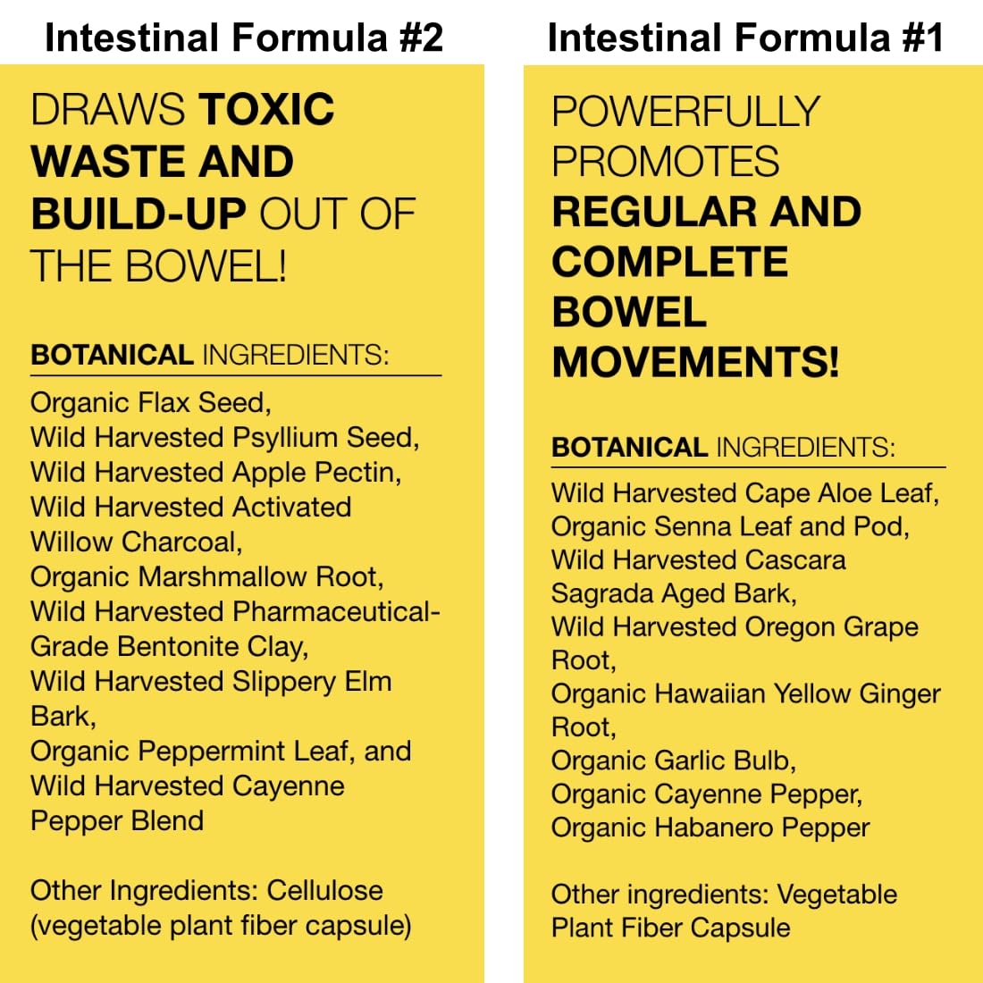 Dr. Schulze's Intestinal Formula #2 (8 Ounces) and Intestinal Formula #1 Capsules (90 Capsules) - Organic Herbal Supplements Dr. Schulze'sAu supplements
