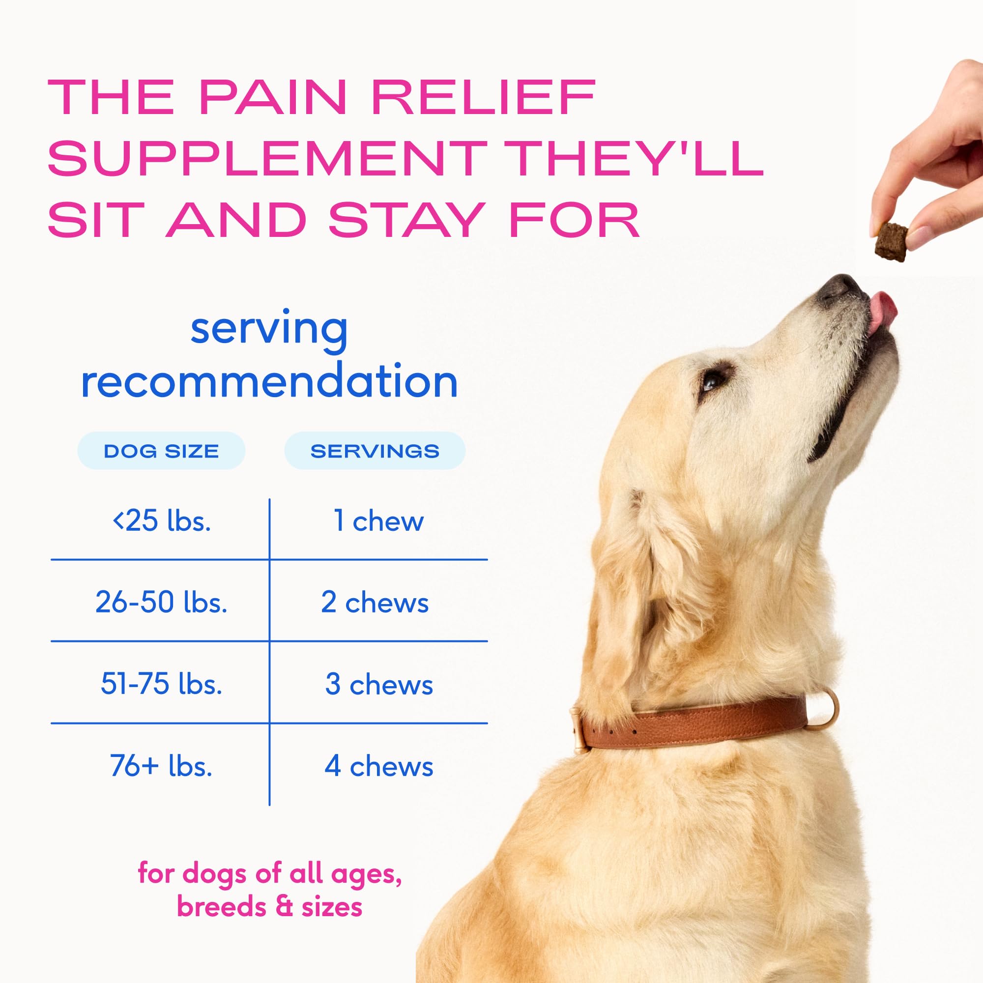 Native Pet Inflammatory Care - Pain Relief for Dogs - Green-Lipped Mussel, Turmeric & Collagen for Dogs - Hip and Joint Supplement Supports Healthy Inflammatory Response & Joint Comfort - 60 Chews Native PetAu supplements
