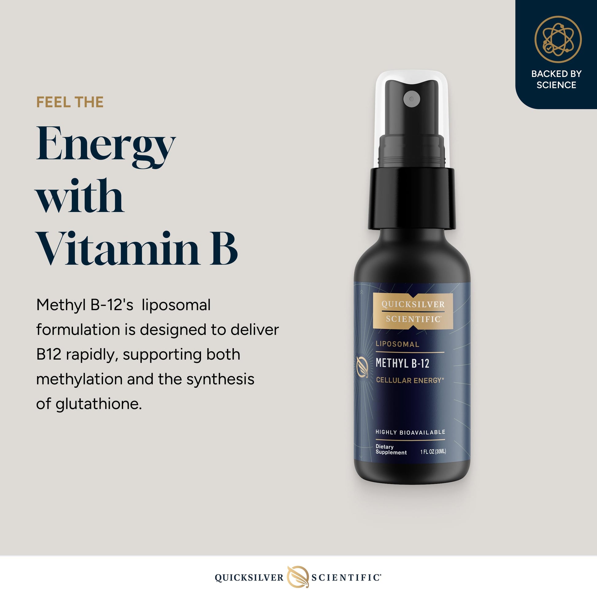 Quicksilver Scientific Methyl B12-1000mcg Vitamin B12 as Methylcobalamin - with Nano Technology for Superior Absorption - Supportive Energy Supplement (30ml / 90 Servings) Quicksilver ScientificUS supplements