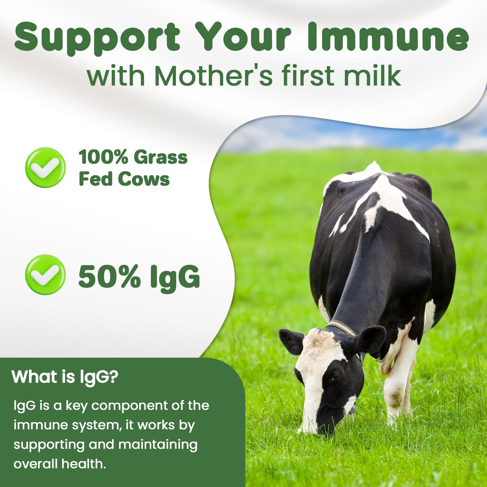 MICYDELAS Bovine Colostrum Supplement Powder 50% IgG Premium Bovine Colostrum for Gut Health Support, Immune Support, Muscle Recovery & Overall Wellness, Grass Fed, Non-GMO, Unflavored, 60 Servings MICYDELASAu supplements