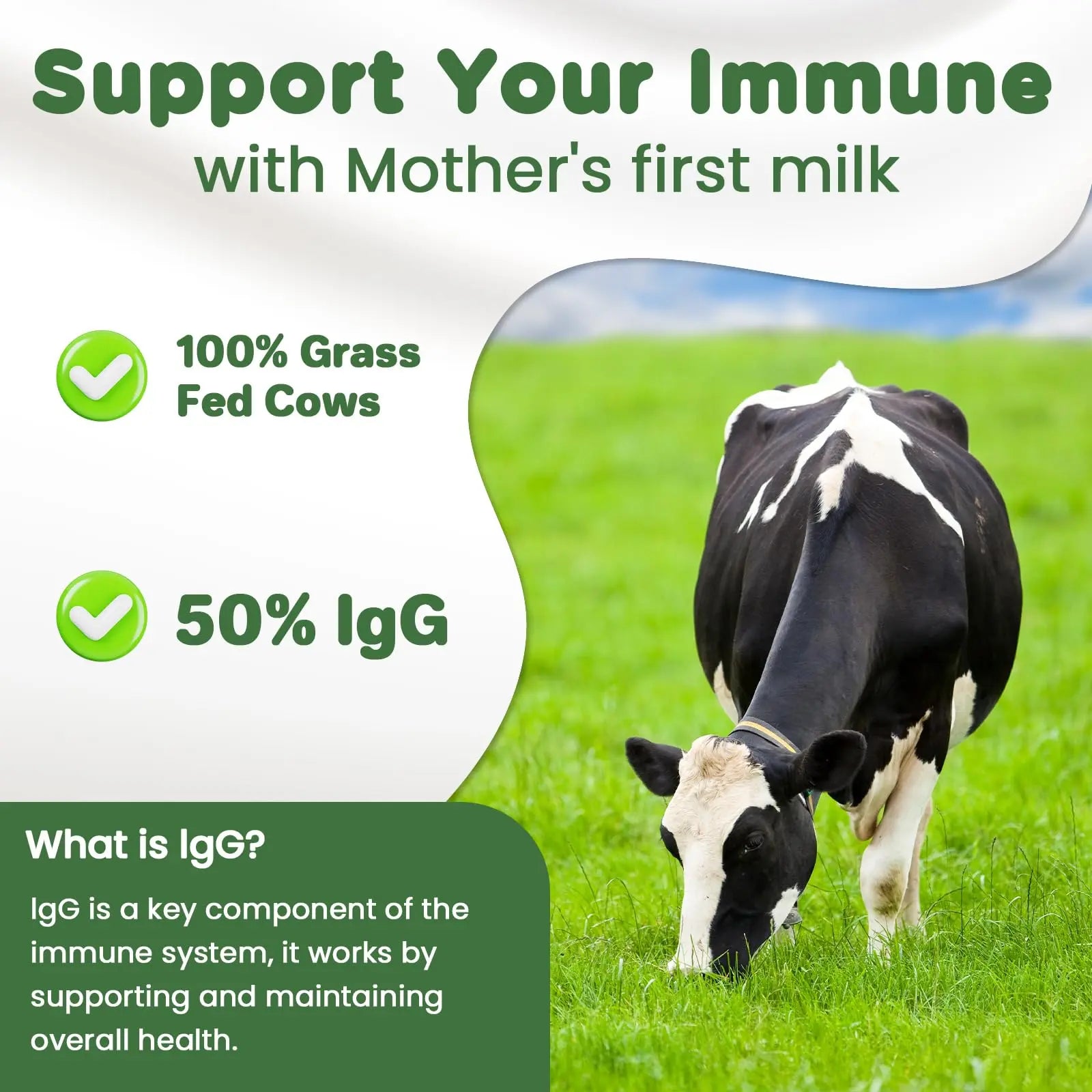 MICYDELAS Bovine Colostrum Supplement Powder 50% IgG Premium Bovine Colostrum for Gut Health Support, Immune Support, Muscle Recovery & Overall Wellness, Grass Fed, Non-GMO, Unflavored, 60 Servings MICYDELASnz supplements