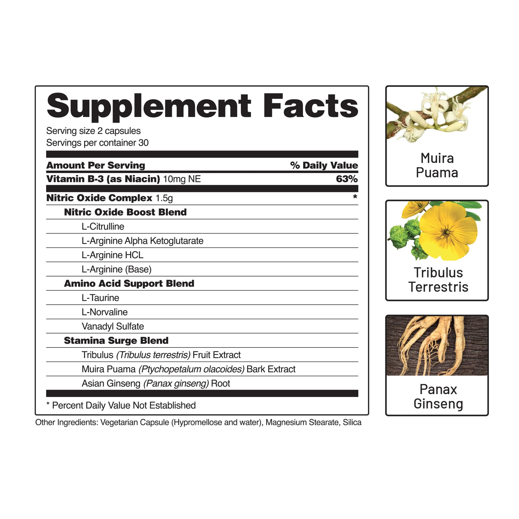 Snap Supplements Nitric Oxide Booster, Nitric Oxide Supplement for Blood Circulation Snap SupplementsUS supplements