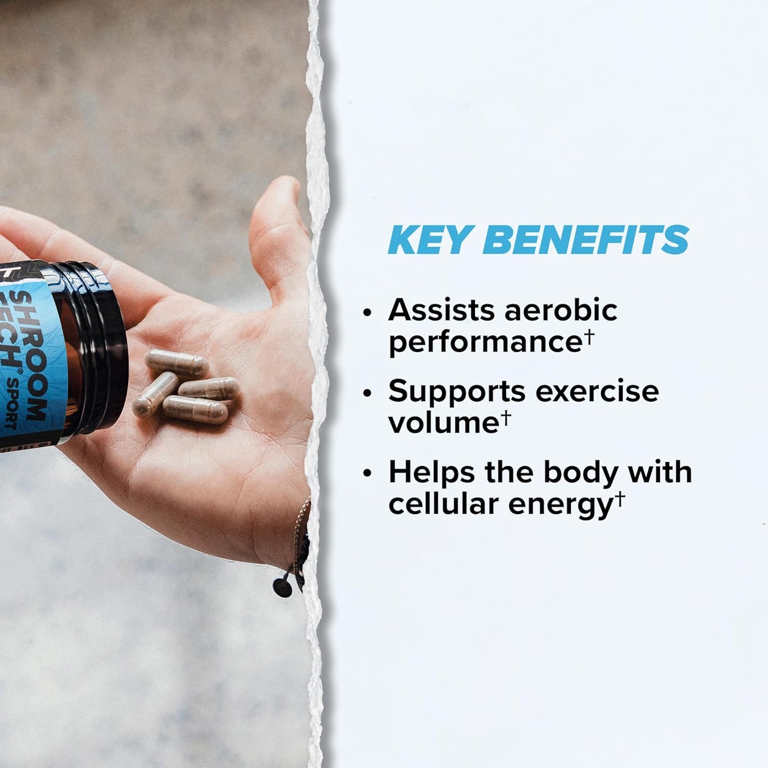 ONNIT Cognitive & Endurance Support Bundle: Alpha Brain Nootropic Capsules (30 Count) + Shroom Tech Sport Exercise Support Capsules (28 Count), IGEN Non-GMO Tested Focus, Energy & Endurance, 2 Pack ONNITAu supplements