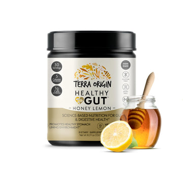 TERRA ORIGIN Healthy Gut Powder (Honey Lemon) | 30-Servings with L-Glutamine TERRA ORIGINUS supplements