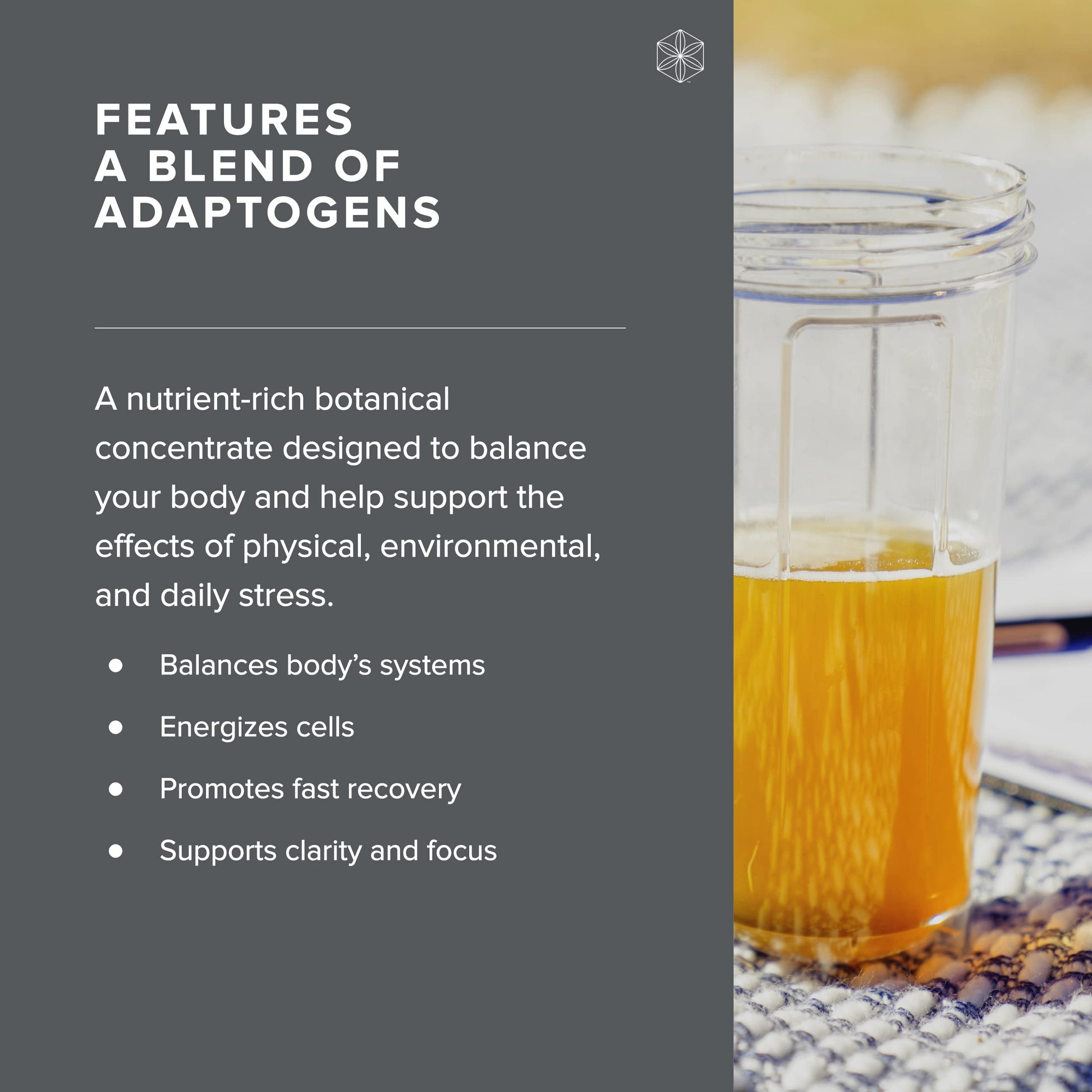 Isagenix Ionix Supreme - Powder Supplement with Vitamin B12 & Niacin - Focus Supplemen IsagenixUS supplements