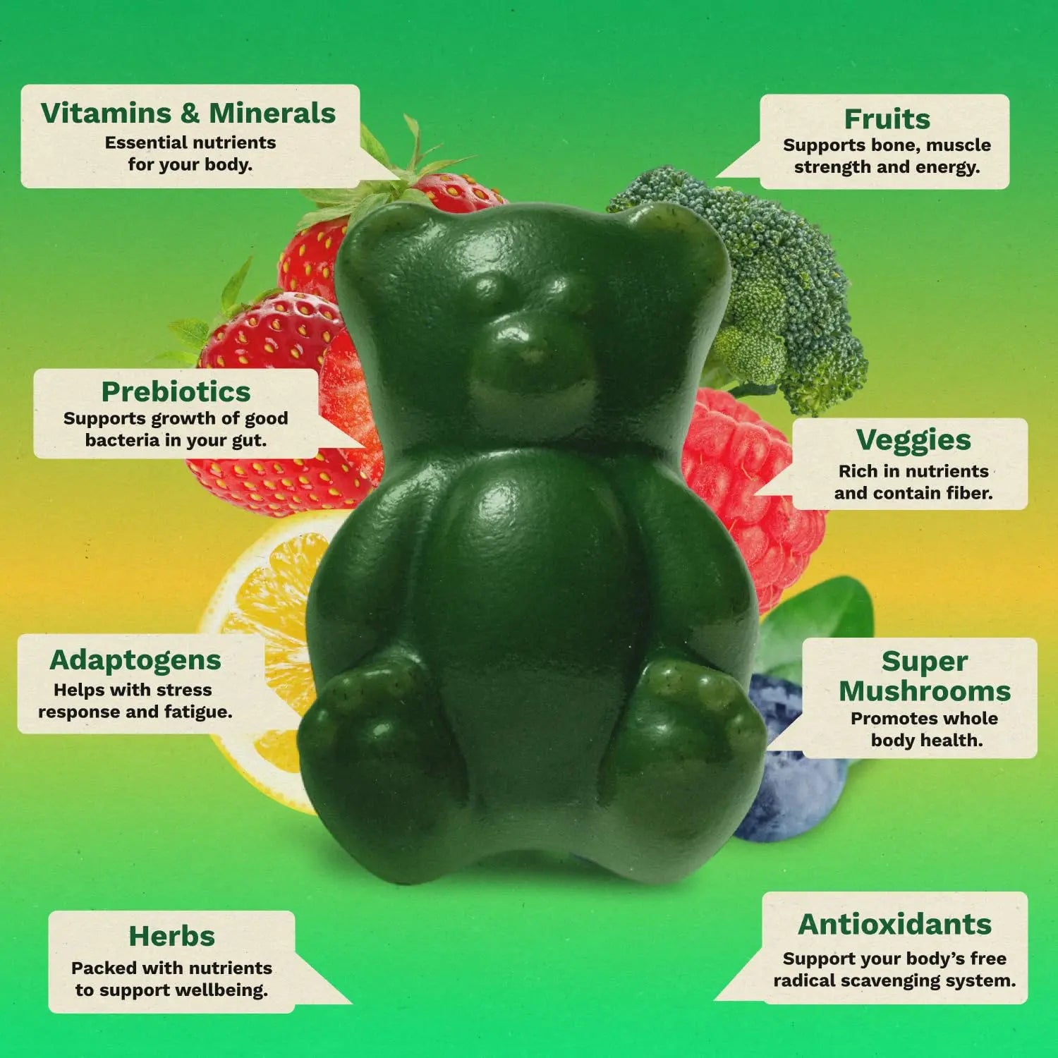 Gruns Sugar-Free Super Greens Gummies, Multivitamin Superfood Gummy Bears, Spirulina, Chlorella, Prebiotics & Fiber gummies for Digestive Health, Adaptogens Supplement, 20 Vitamins & Minerals, 10 pack Grünsnz supplements