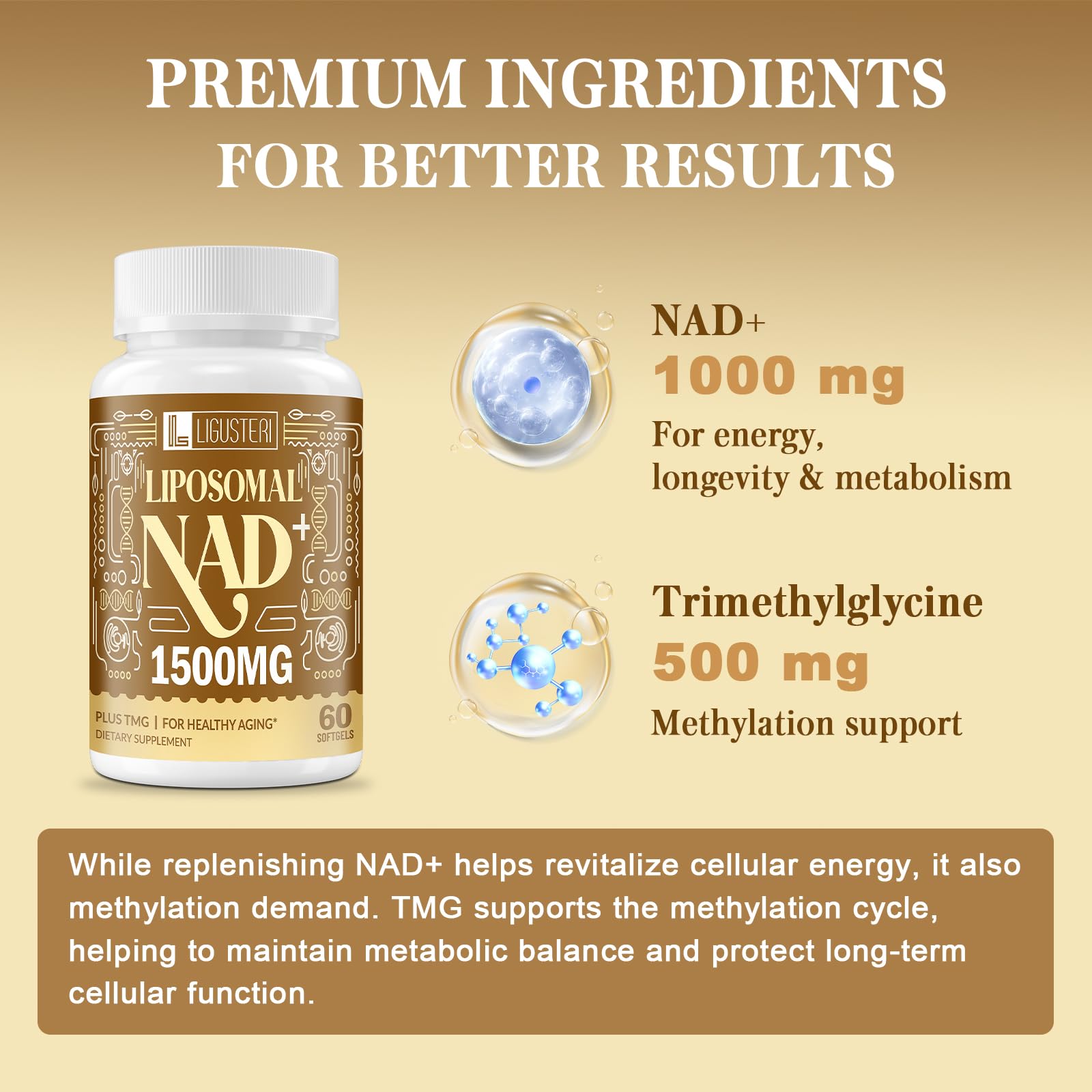 LIGUSTERI 1500 MG Liposomal NAD+, 98%+ Absorption, NAD+ Supplement for Women & Men with TMG, for Aging Defense, Cellular Energy, Heart & Brain Function, Longevity, 120 Softgels LIGUSTERIAu supplements