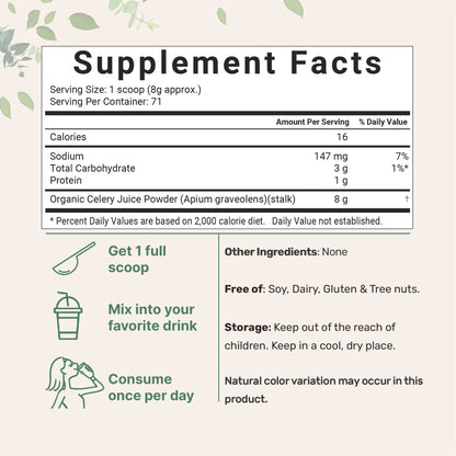 Organic Celery Juice Powder, 20 Ounce (1.25 Pound), 71 Serving, Celery Detox and Cold Micro IngredientsUS supplements