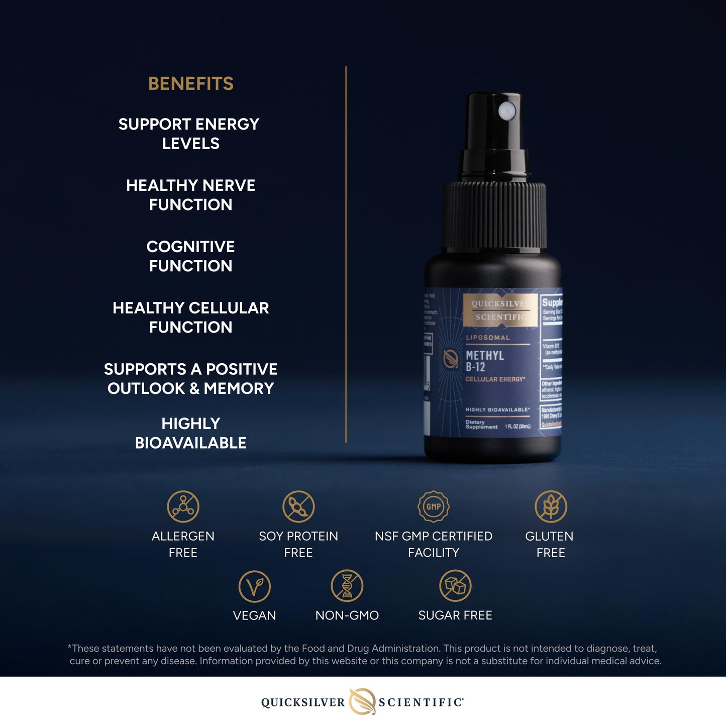 Quicksilver Scientific Methyl B12-1000mcg Vitamin B12 as Methylcobalamin - with Nano Technology for Superior Absorption - Supportive Energy Supplement (30ml / 90 Servings) Quicksilver ScientificUS supplements