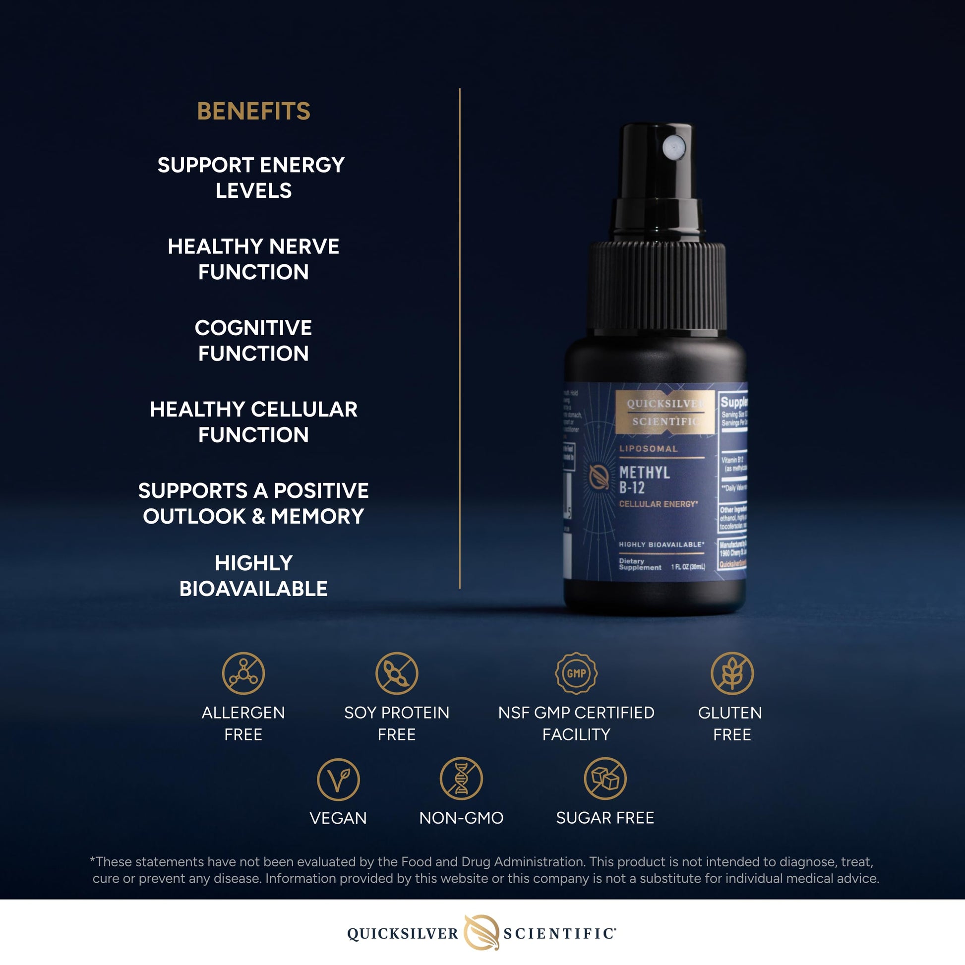 Quicksilver Scientific Methyl B12-1000mcg Vitamin B12 as Methylcobalamin - with Nano Technology for Superior Absorption - Supportive Energy Supplement (30ml / 90 Servings) Quicksilver ScientificUS supplements
