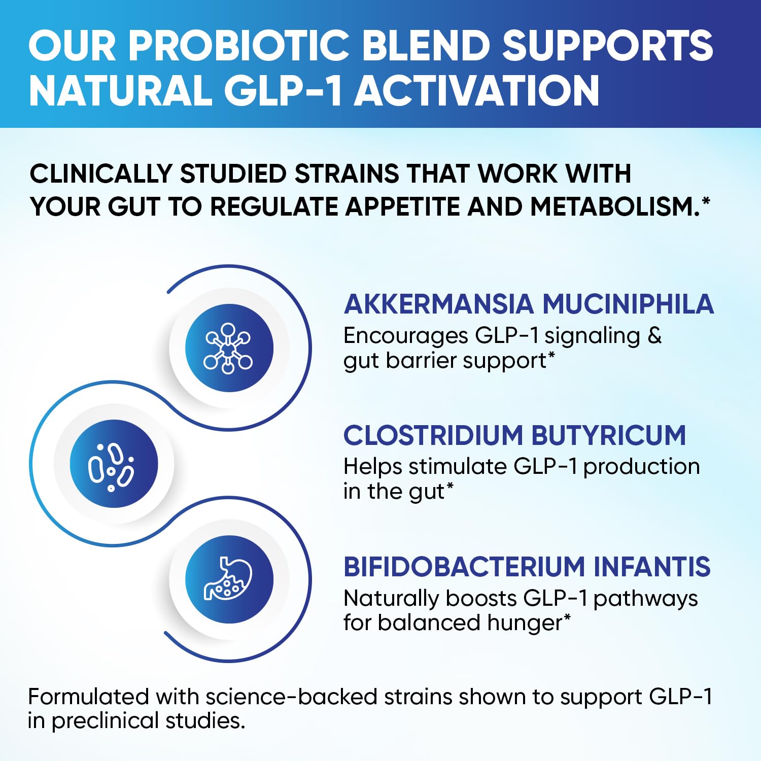 GLP-1 XLR8 Supplement for Weight Loss, Digestion, Constipation, Bloating Relief with Akkermansia 2.6 Billion AFU Live Prebiotic Probiotic Postbiotic Gut Health + Berberine for Women Men 60 Capsules Snappy ScriptsAu supplements