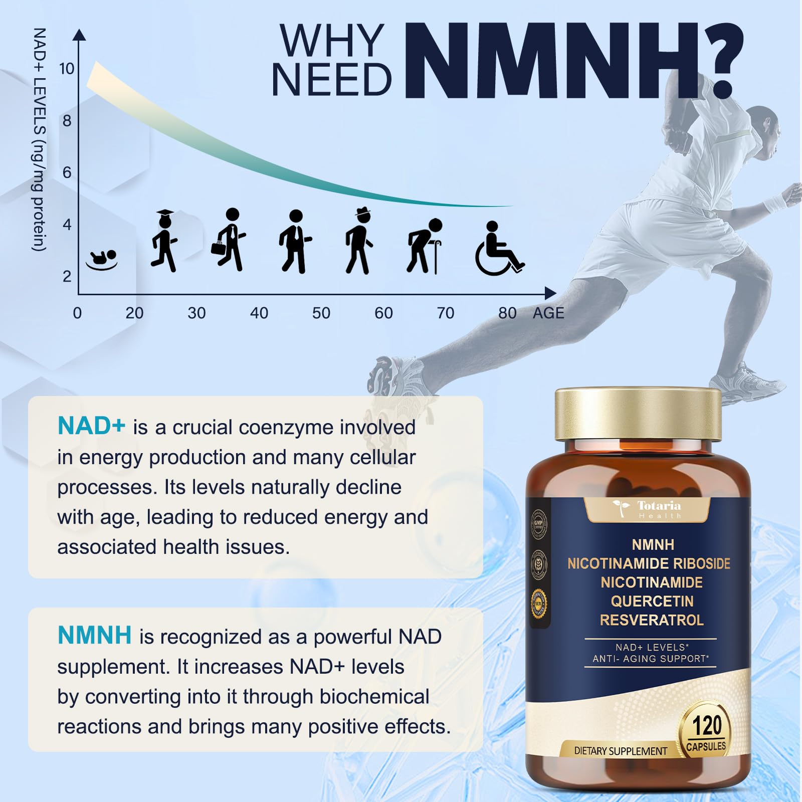 Totaria NMNH 500mg (Dihydronicotinamide Mononucleotide), Premium NMN Alternative Supplement w/Niacinamide (Vitamin B3), Quercetin, Trans-Resveratrol, for NAD+, Skin Cell, Anti-Aging & Energy, 120 Ct TotariaAu supplements