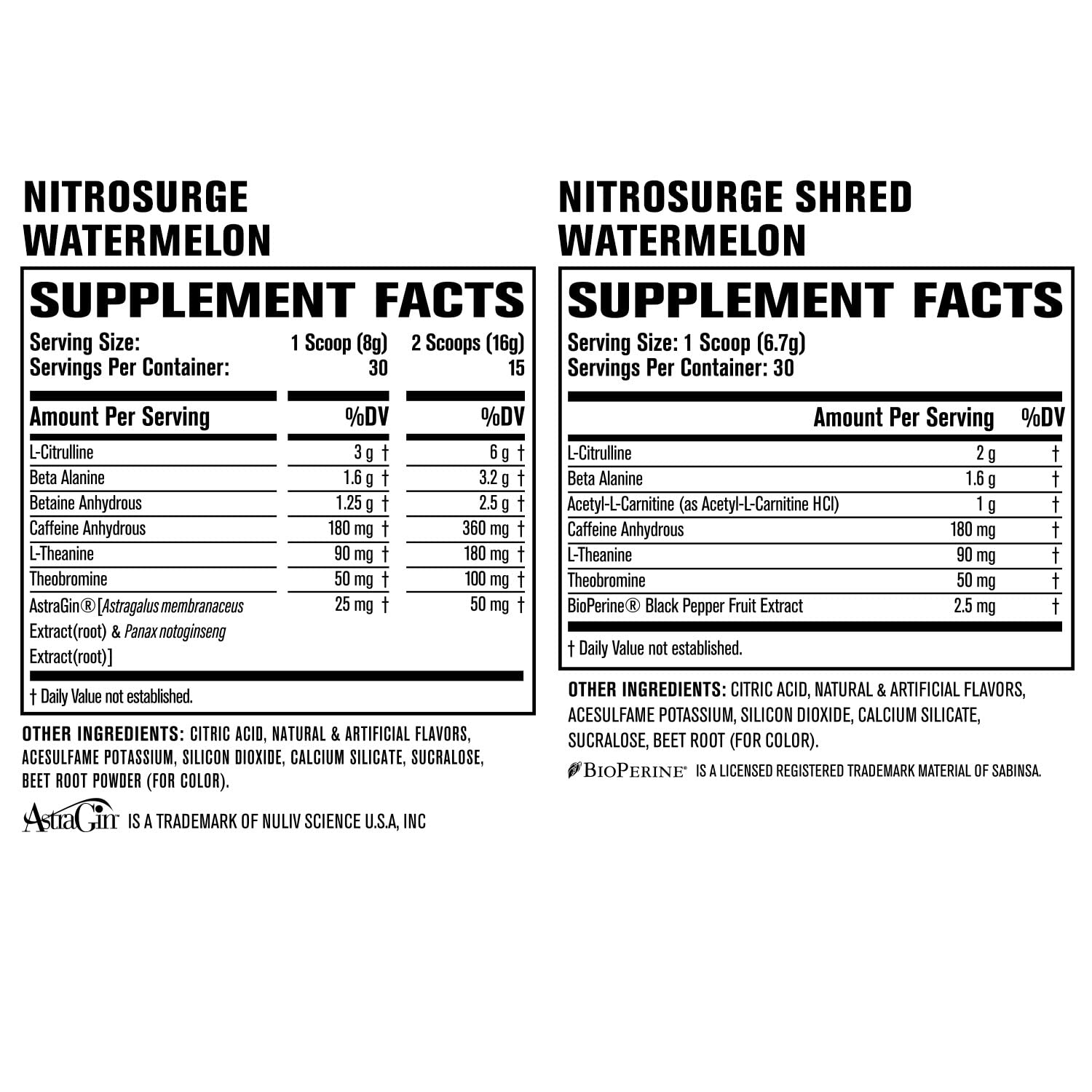 Jacked Factory Nitrosurge Shred Thermogenic Pre-Workout in Watermelon & Watermelon Jacked FactoryAu supplements