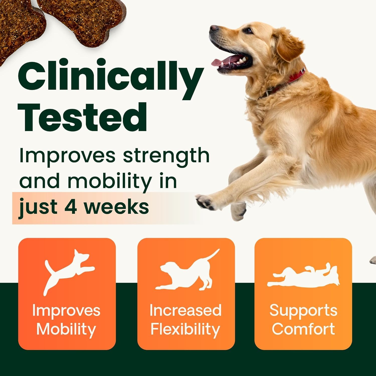 VetriScience Ultimate Strength Healthy Hip & Joint Chews, GlycoFlex Glucosamine, Chondroitin and Green-Lipped Mussel Joint Support Supplement for Dogs, Soothe Joint Discomfort, Duck, 120 Count VETRISCIENCEAu supplements