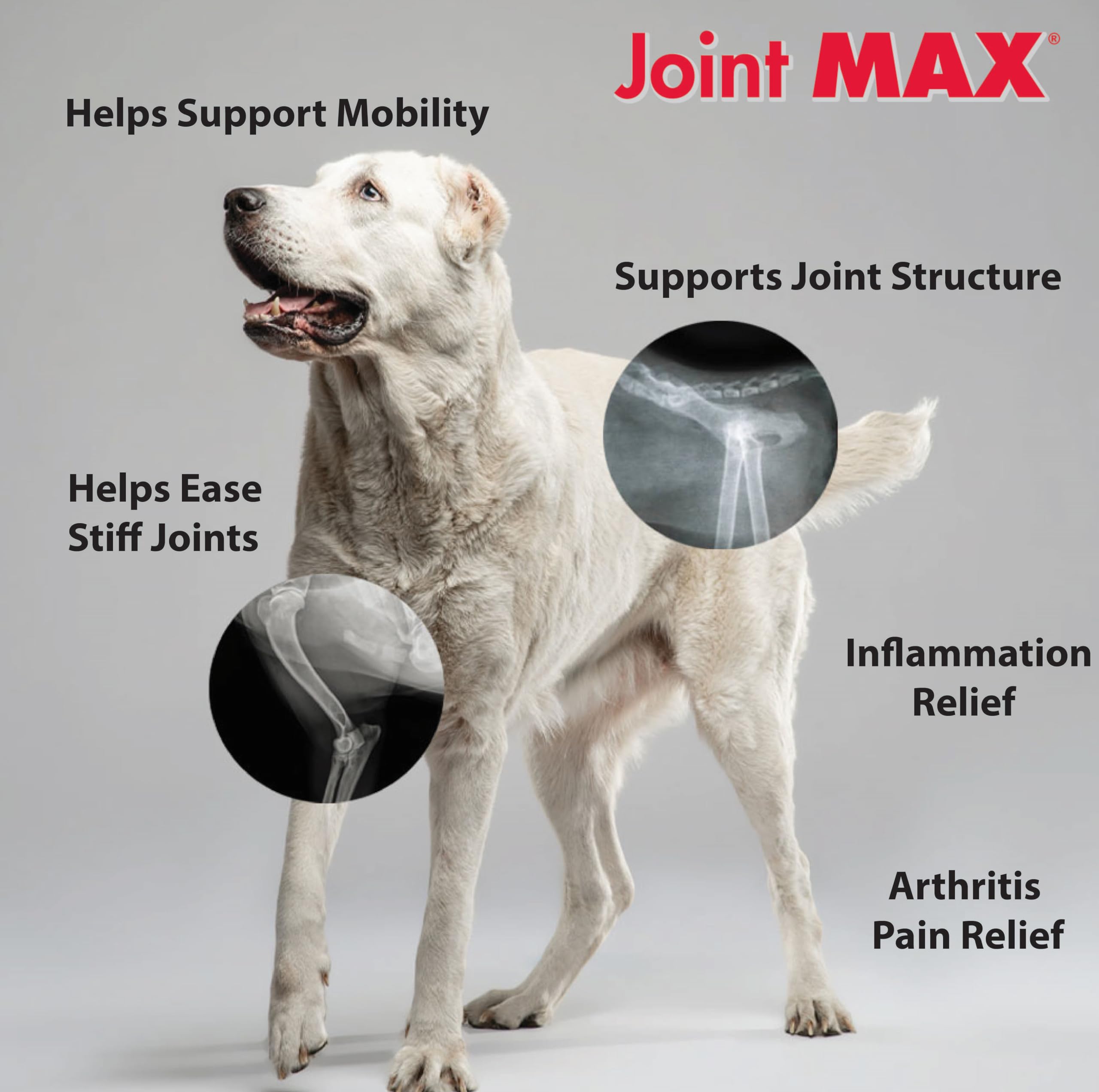 Joint MAX Triple Strength Hypo-Allergenic Soft Chews for Dogs - Hip and Joint Support Supplement with Glucosamine, Chondroitin, & MSM - Made in The USA - 120 Soft Chews Joint MaxAu supplements