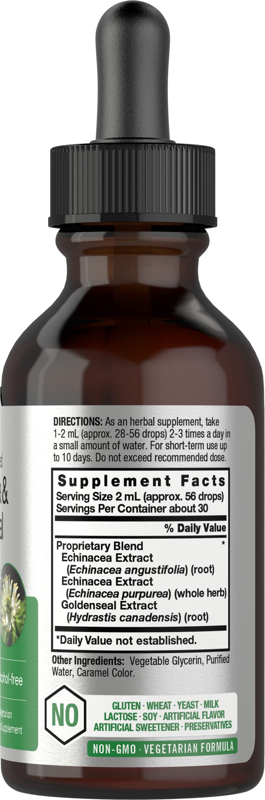 Echinacea Goldenseal Liquid Extract | 2 fl oz | Alcohol Free Tincture Drops | Vegetarian HorbäachUS supplements