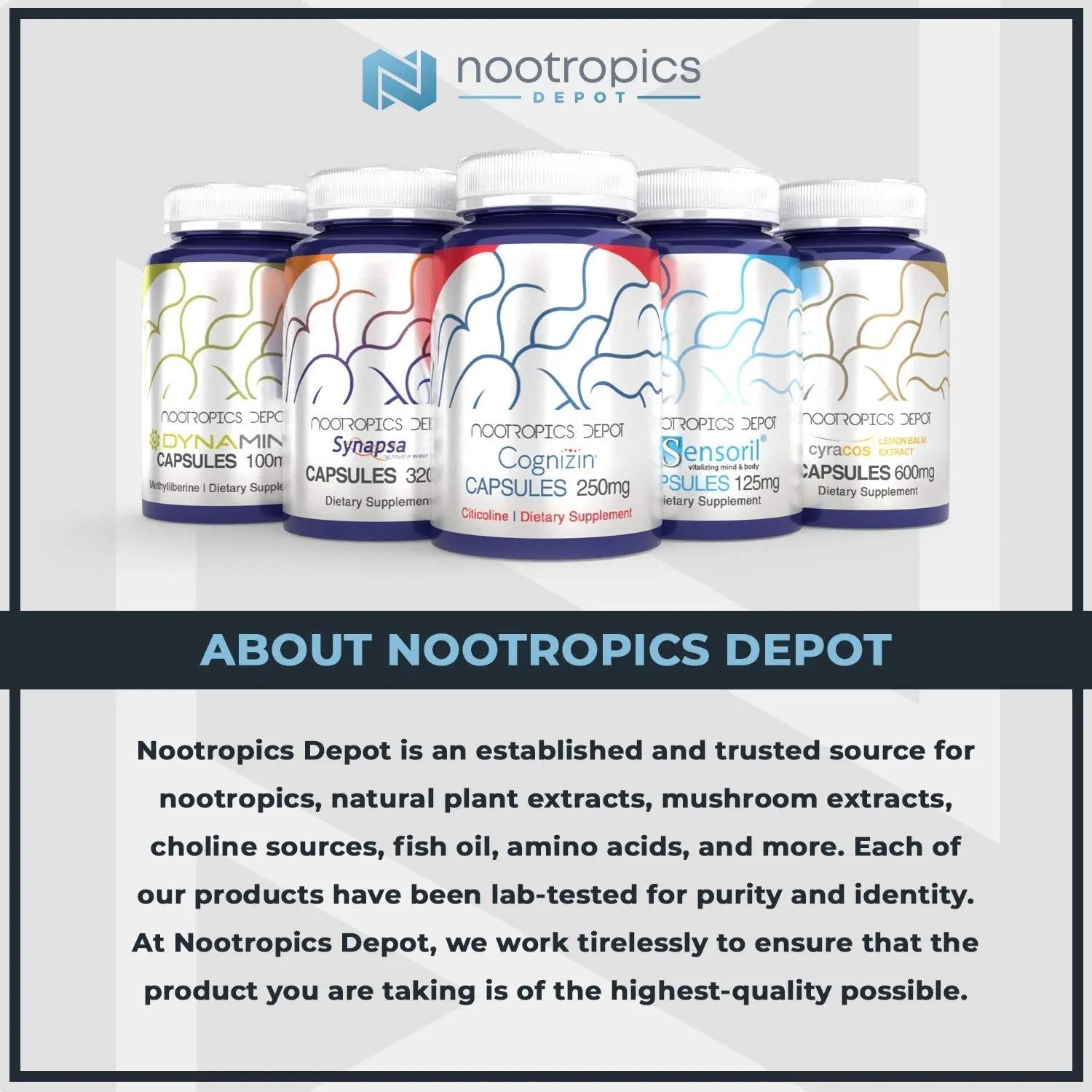 Nootropics Depot Uridine Monophosphate Capsules | Disodium Salt (60 Count) Cognitive Enhancer* | Nootropic | Choline Precursor Nootropics DepotAu supplements