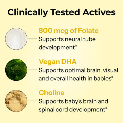 HUM Complete Prenatal Multivitamin for Women with Folate, DHA, and Choline, 23 Nutrients for Daily Support, Gluten Free, Non GMO Supplement for Pre, During, and Post Pregnancy, 30 Vegan Capsules HUMUS supplements
