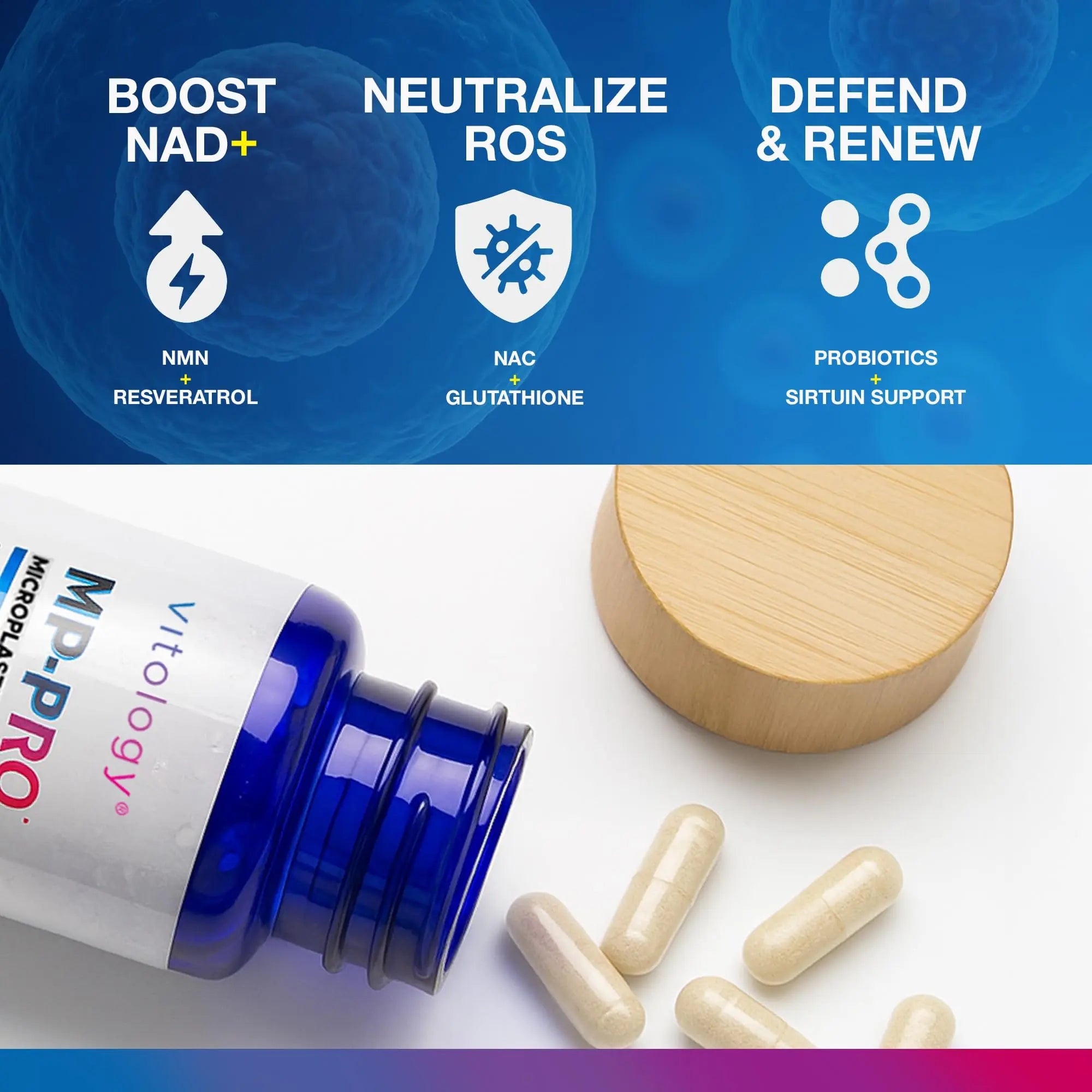 Vitology MP-PRO Microplastics Defense | 15 Billion CFU Probiotic + Antioxidant Blend | NMN, NAC, Glutathione, Resveratrol & Charcoal | Supports Cellular Detox, Longevity & Gut Health – 60 Capsules VitologyAu supplements