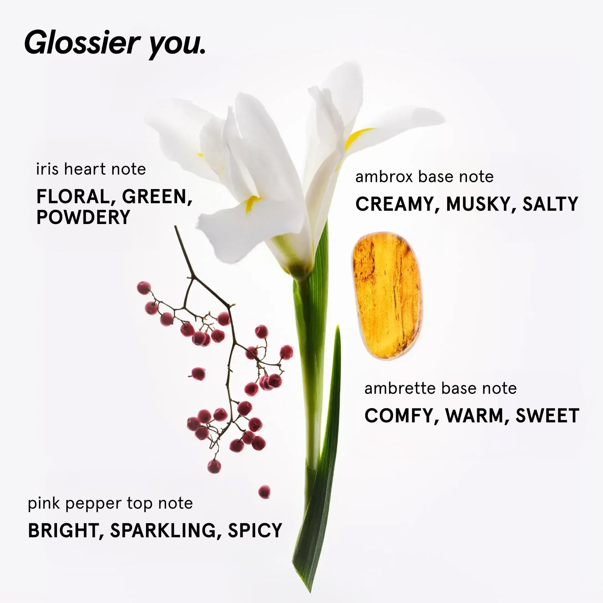 Glossier You Solid Perfume - Unisex Fragrance for Women & Men in Refillable Compact, Alcohol-Free Balm Melts Into Skin - Buildable Warm & Spicy Scent Pink Pepper, Iris, Ambrox - Travel-Friendly, 3g GlossierAu supplements