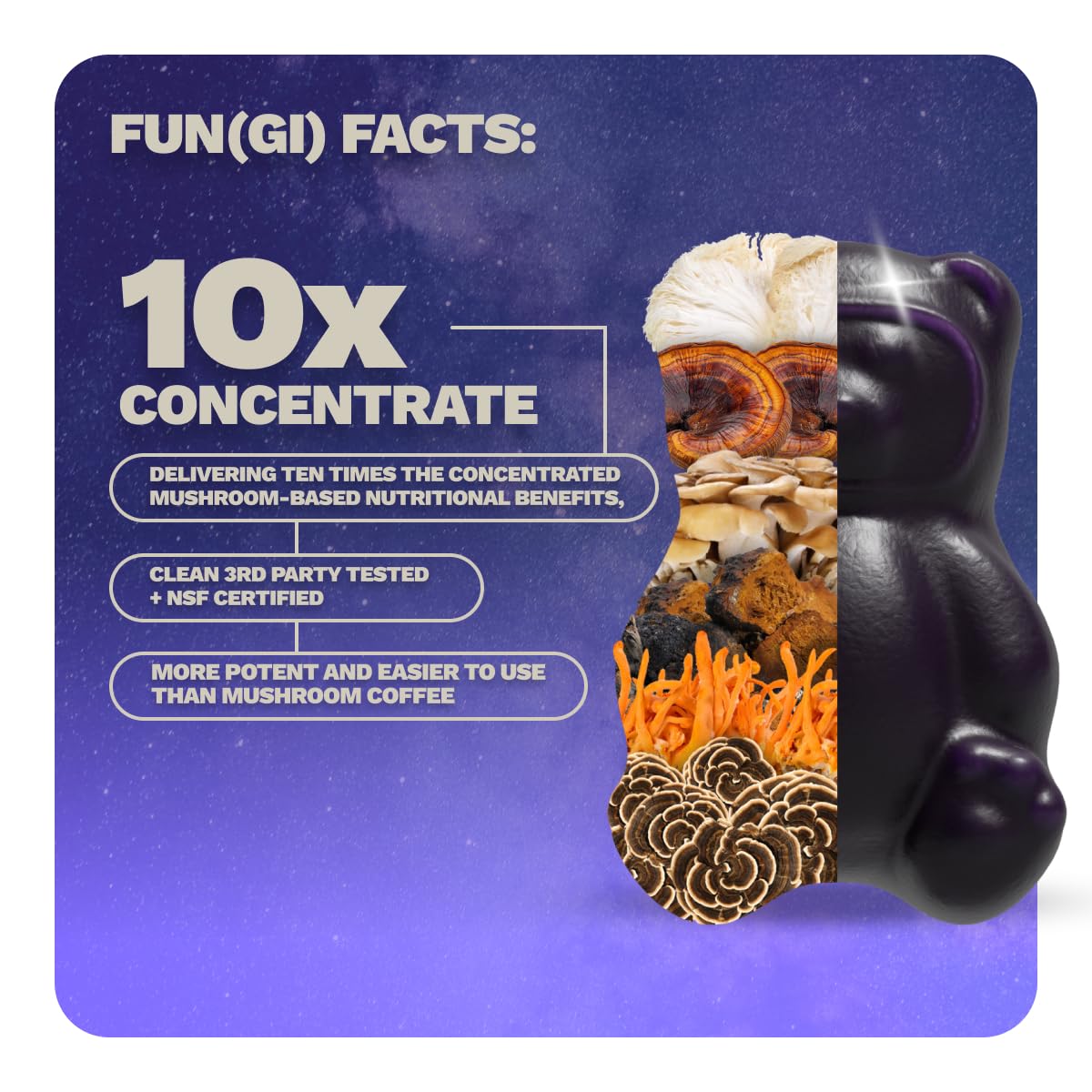 Nutrops Lions Mane Mushroom Gummies for adults, Functional Nootropics, Herbal Brain Supplement for Energy, Brain Health, Cognitive, Memory & Focus, Reishi, Chaga, Cordyceps, Coriolus, 28 daily Packs GrünsAu supplements