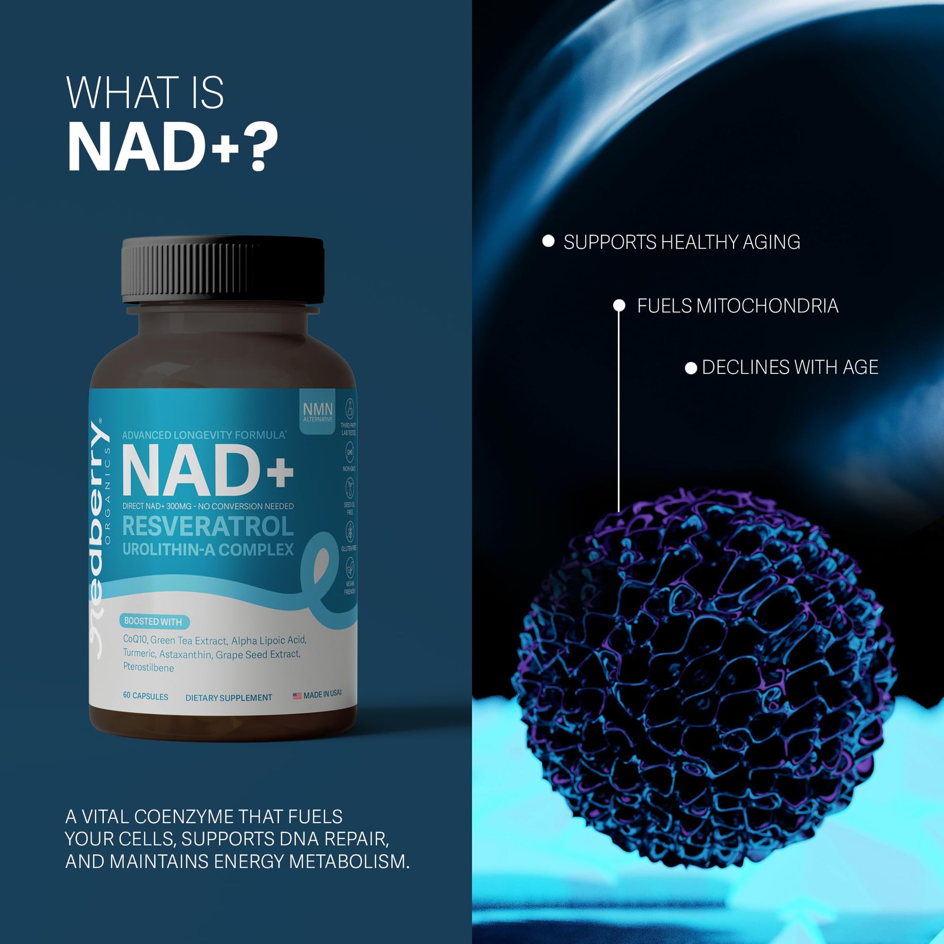 NAD Supplement with Direct NAD+ 300mg (NAD Plus) | Advanced Longevity Complex with Urolithin A & Resveratrol | NMN Alternative | 60 Capsules | Non-GMO, Gluten Free | Made in USA Redberry OrganicsAu supplements