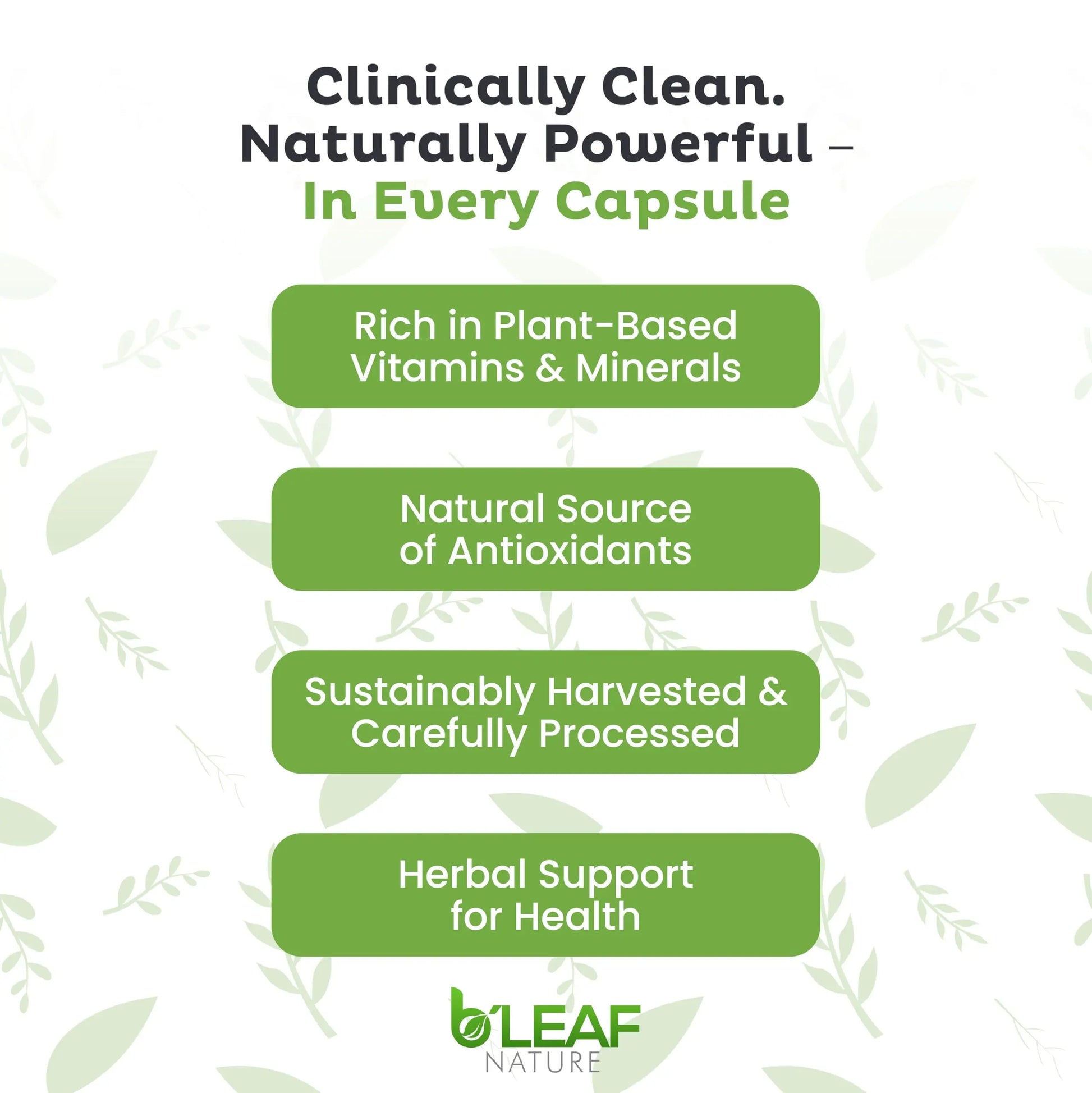 B'LEAF NATURE Moringa and Quercetin Bundle - Non-GMO, Vegan, High Absorption Capsules - 1000mg Quercetin Phytosome Blend + 1000mg Moringa - Natural Energy, Wellness and Immune Support Supplements B'LEAF NATUREnz supplements