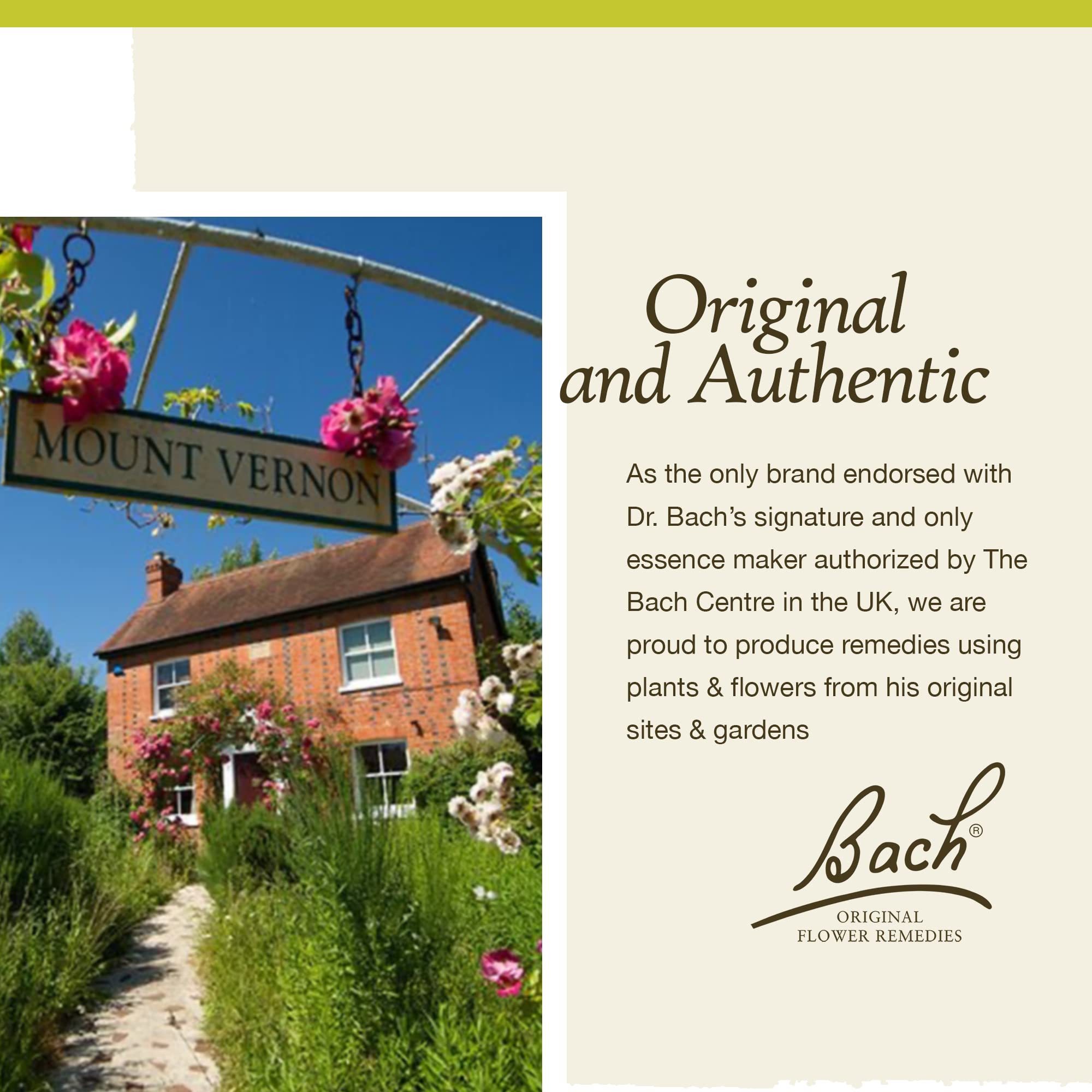 Bach Original Flower Remedies, Honeysuckle for Embracing The Now (Non-Alcohol Formula) BachAu supplements
