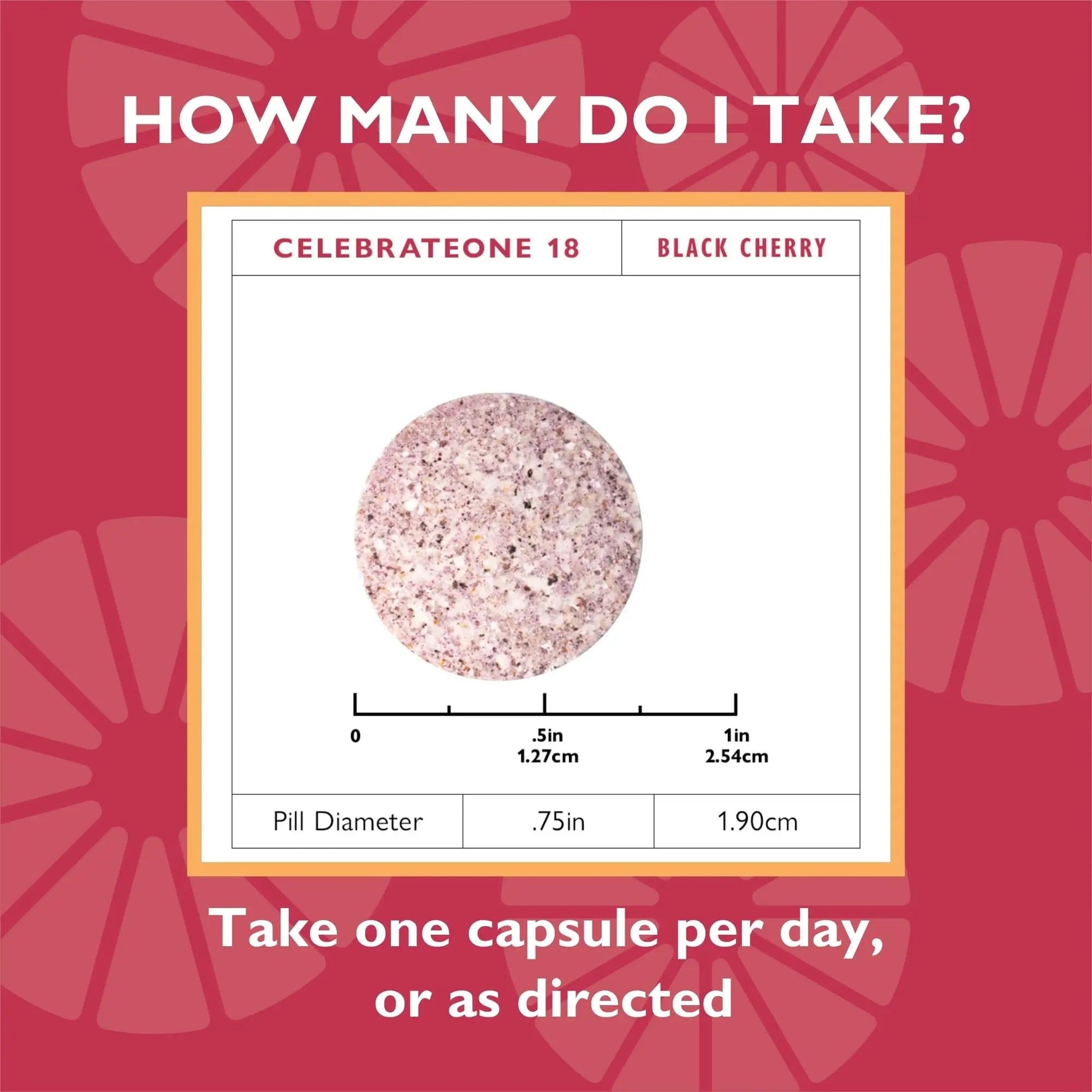Celebrate Vitamins CelebrateONE 18 Chewables, 18mg Iron - Once Daily Bariatric Multivitamin, Essential Vitamins & Minerals Celebrate Bariatric SupplementsAu supplements