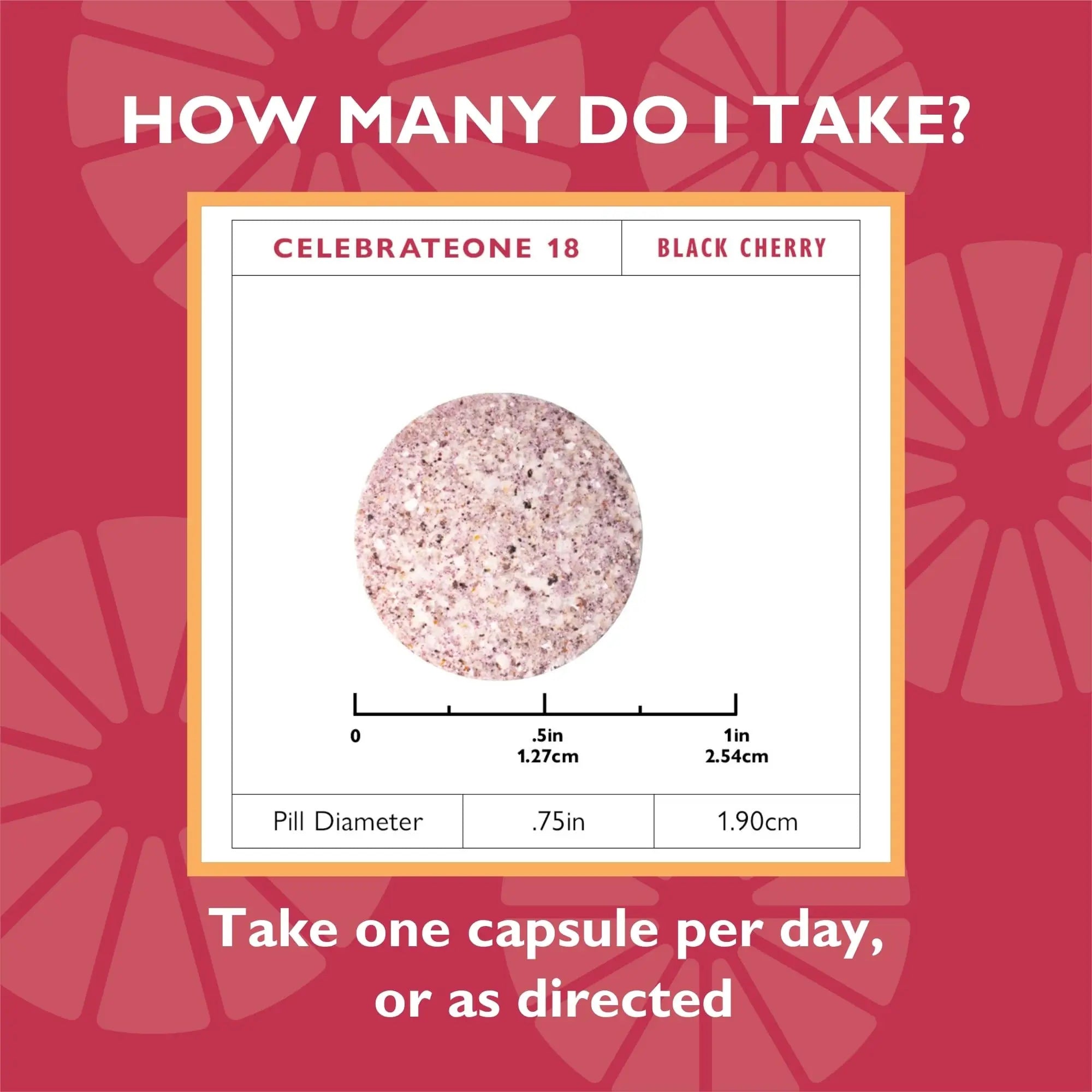 Celebrate Vitamins CelebrateONE 18 Chewables, 18mg Iron - Once Daily Bariatric Multivitamin, Essential Vitamins & Minerals Celebrate Bariatric SupplementsAu supplements