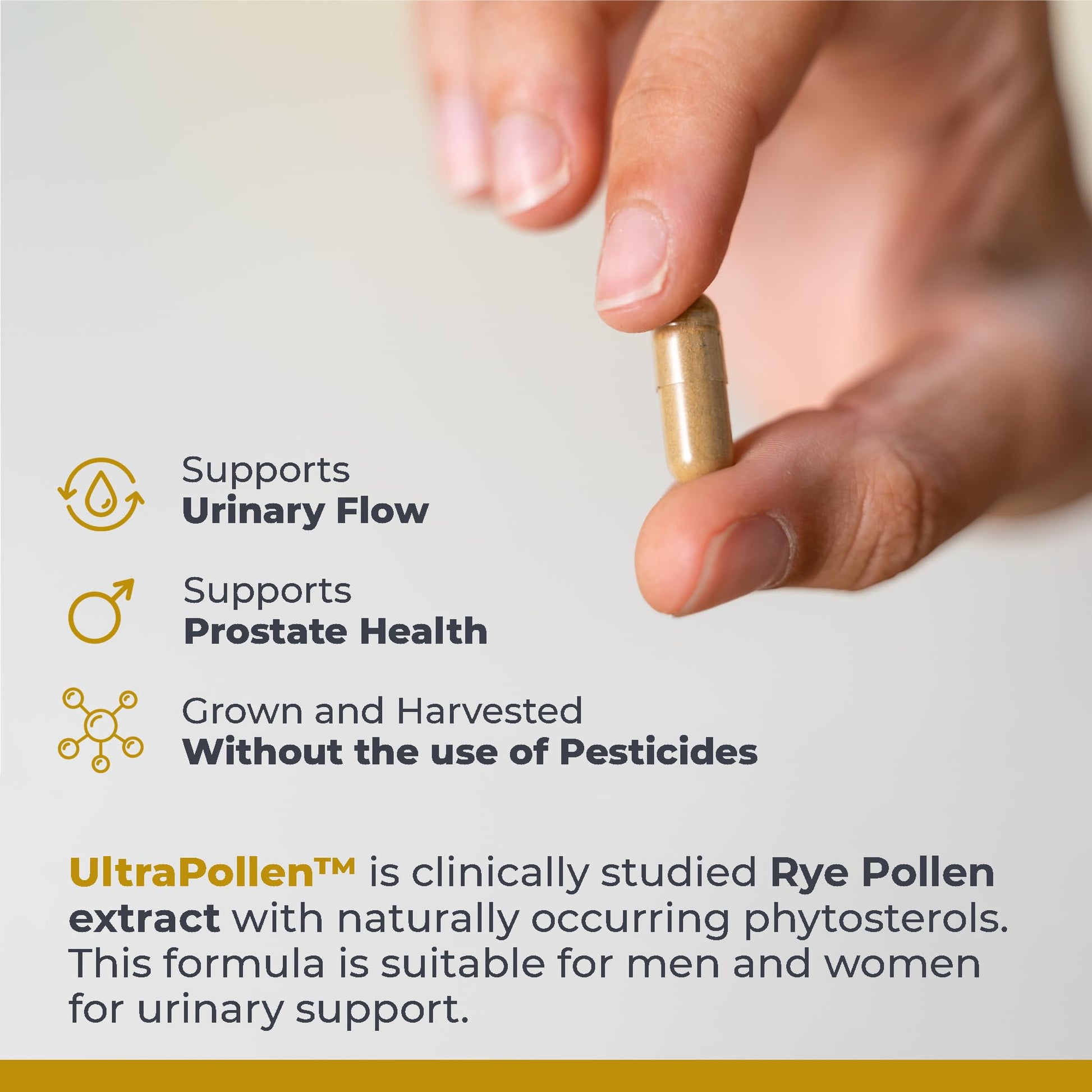 Premier Research Labs UltraPollen - Bee Pollen Supplement, Rye Pollen Extract, Prostate Health, Bee Pollen Extract from Rye Flower with Amino Acids, Supplement for Men & Women- 45 Vegetarian Capsules Premier Research LabsAu supplements