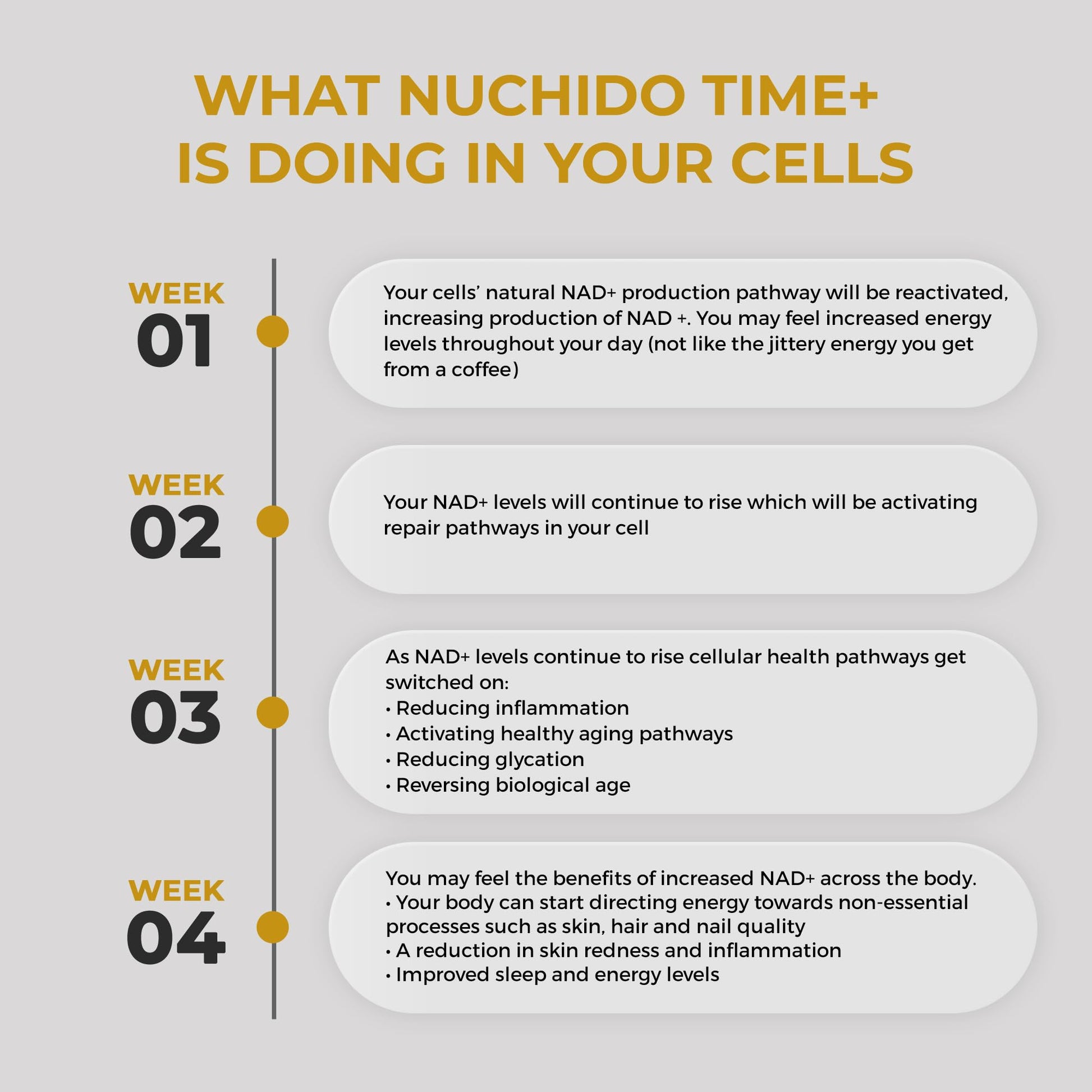 Nuchido Time+ NAD Supplement for Men & Women - Advanced Formula for Healthy Aging, Energy, Focus, Cellular Health & Longevity - Nicotinamide, Alpha Lipoic Acid, Quercetin - 90 Capsules Nuchido Time+Au supplements