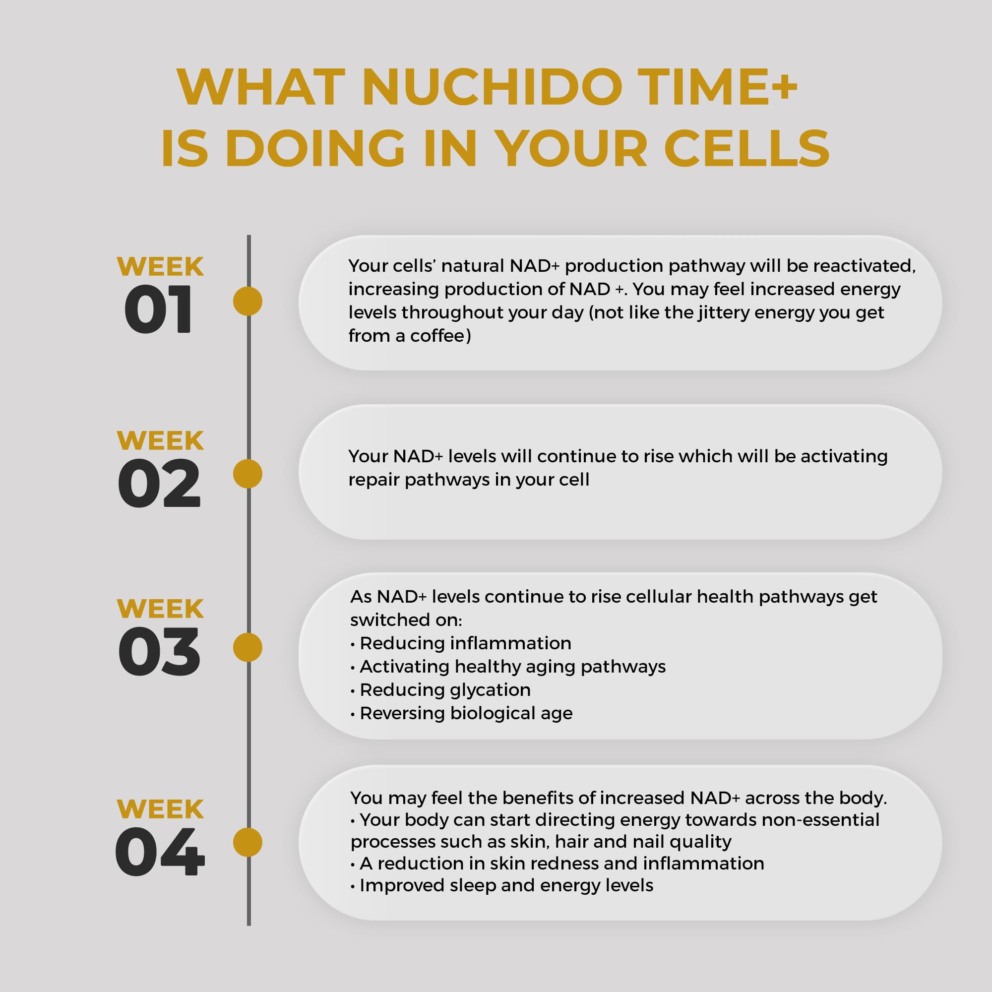 Nuchido Time+ NAD Supplement for Men & Women - Advanced Formula for Healthy Aging, Energy, Focus, Cellular Health & Longevity - Nicotinamide, Alpha Lipoic Acid, Quercetin - 90 Capsules Nuchido Time+Au supplements