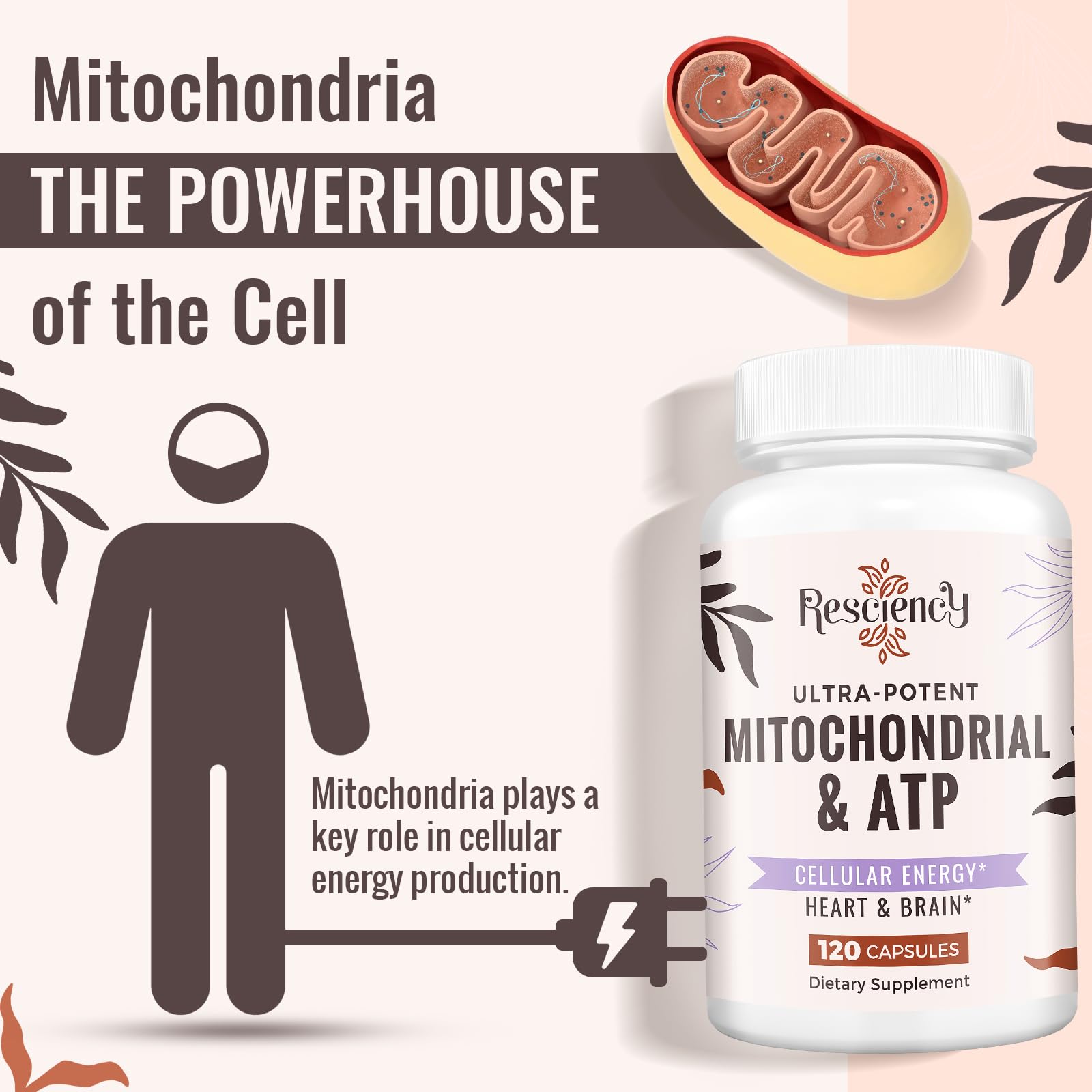Resciency 2326 MG Mitochondrial Supplements with ATP, Vitamins, CoQ10 & PQQ, More Effective Than Creatine HMB & Nitric Oxide, Energy, Endurance, Strength, Recovery & Muscle, Organic, 120 Capsules ResciencyAu supplements