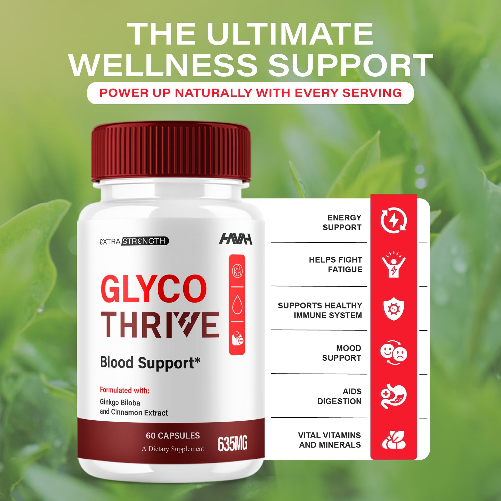 (2 Pack) Glyco Thrive Blood Support GlycoThrive Maximum Strength Capsules, Glyco Thrive Advanced Daily Multivitamin Health and Wellness Supplement, GlycoThrive Health Support Pills (120 Capsules) HavahAu supplements