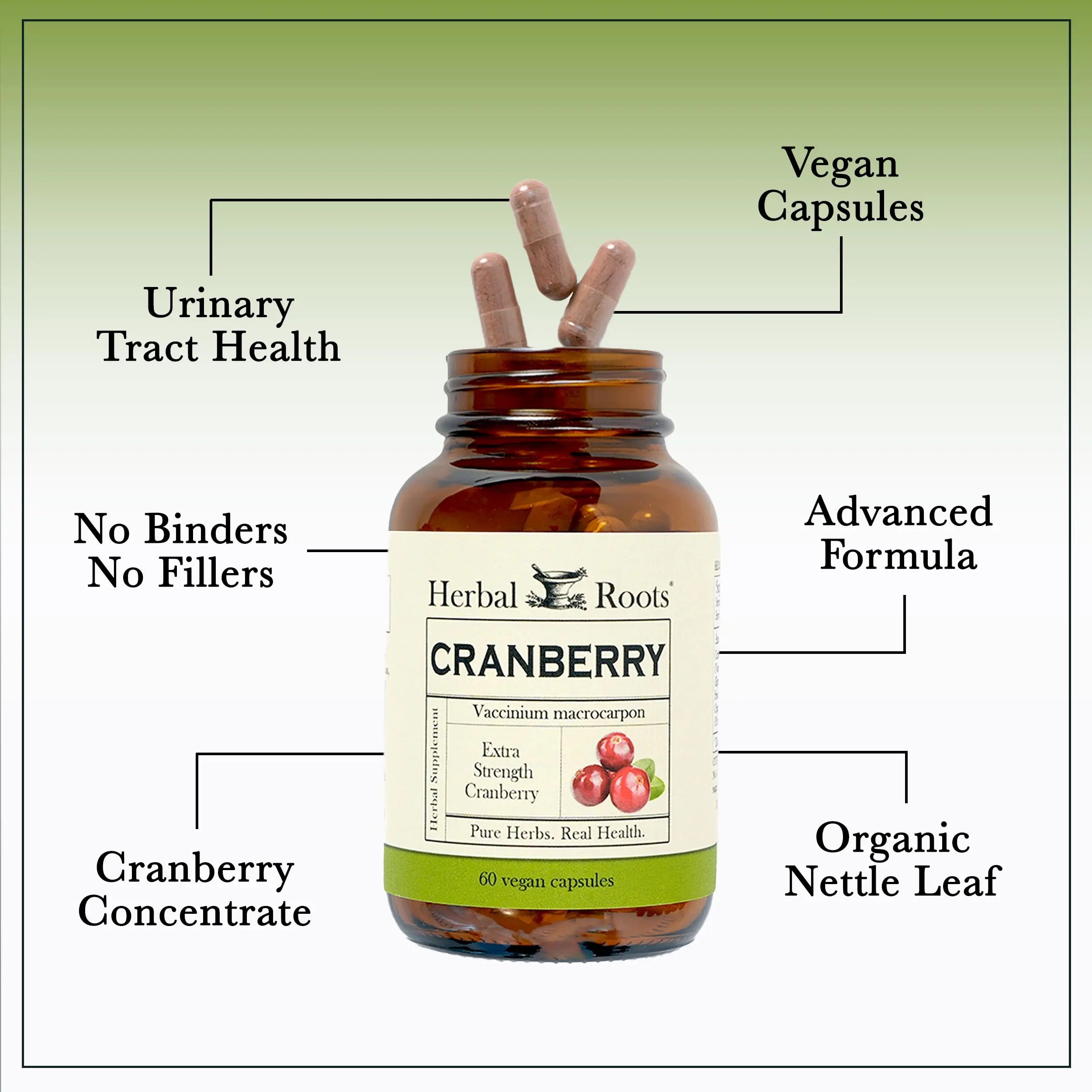 Herbal Roots Extra Strength Cranberry Pills for Women & Men with Organic Nettle | Urinary Tract Health | 60 Vegan Capsules Herbal RootsAu supplements
